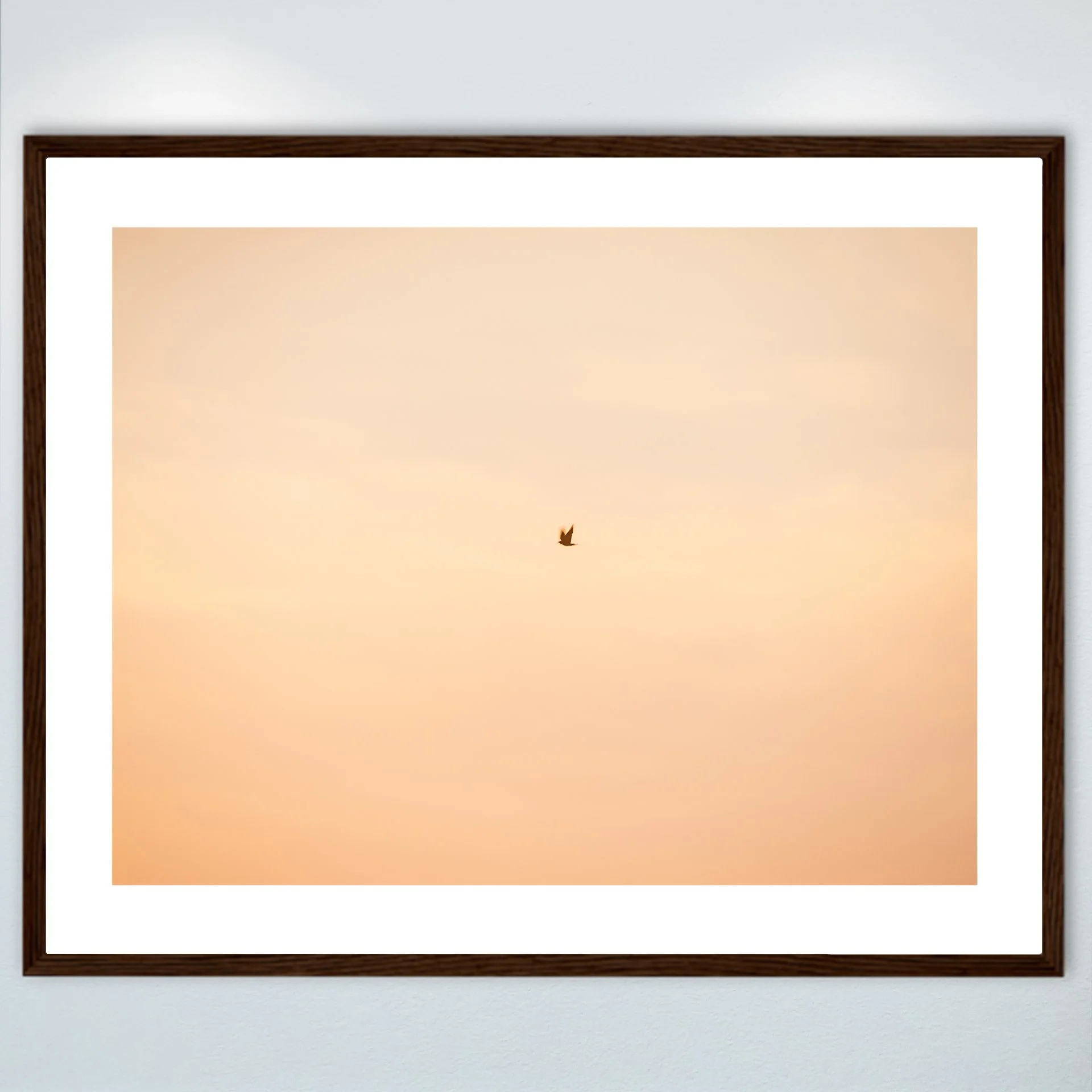 1:1 Slow Shutter Sunrise Seagull- Wood w: Border.jpg