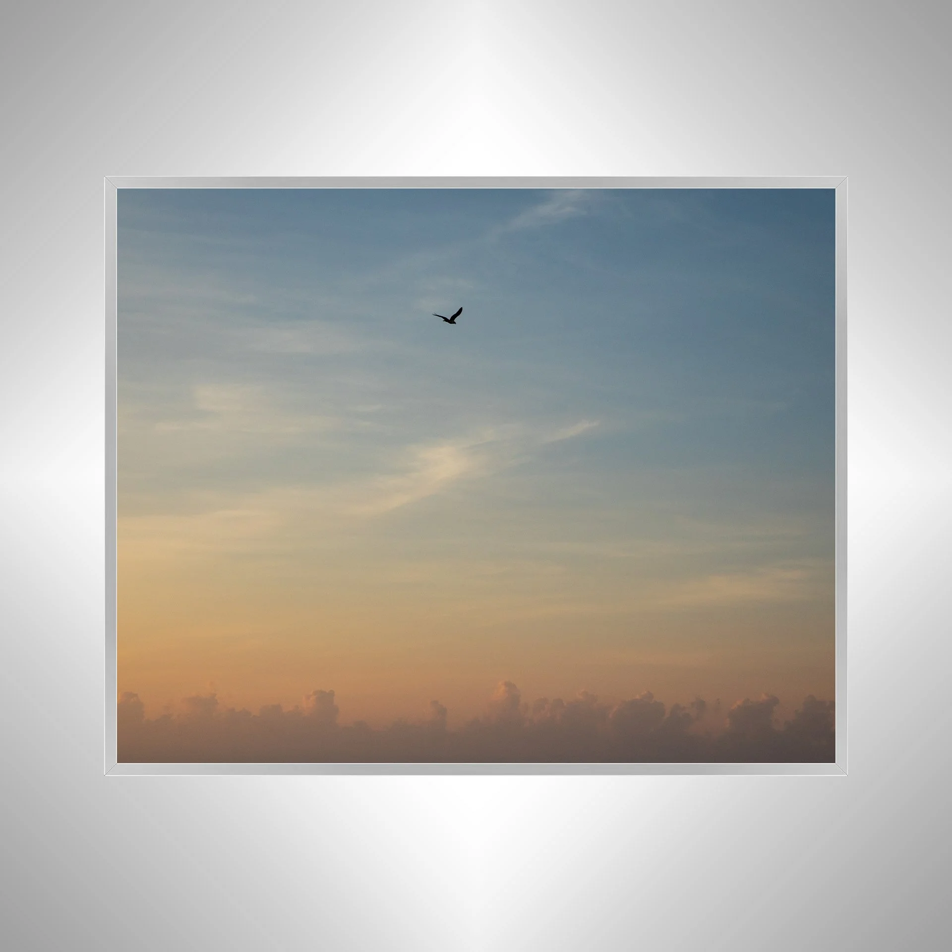1:1 Seagull infront of Sunrise Clouds- Silver.jpg