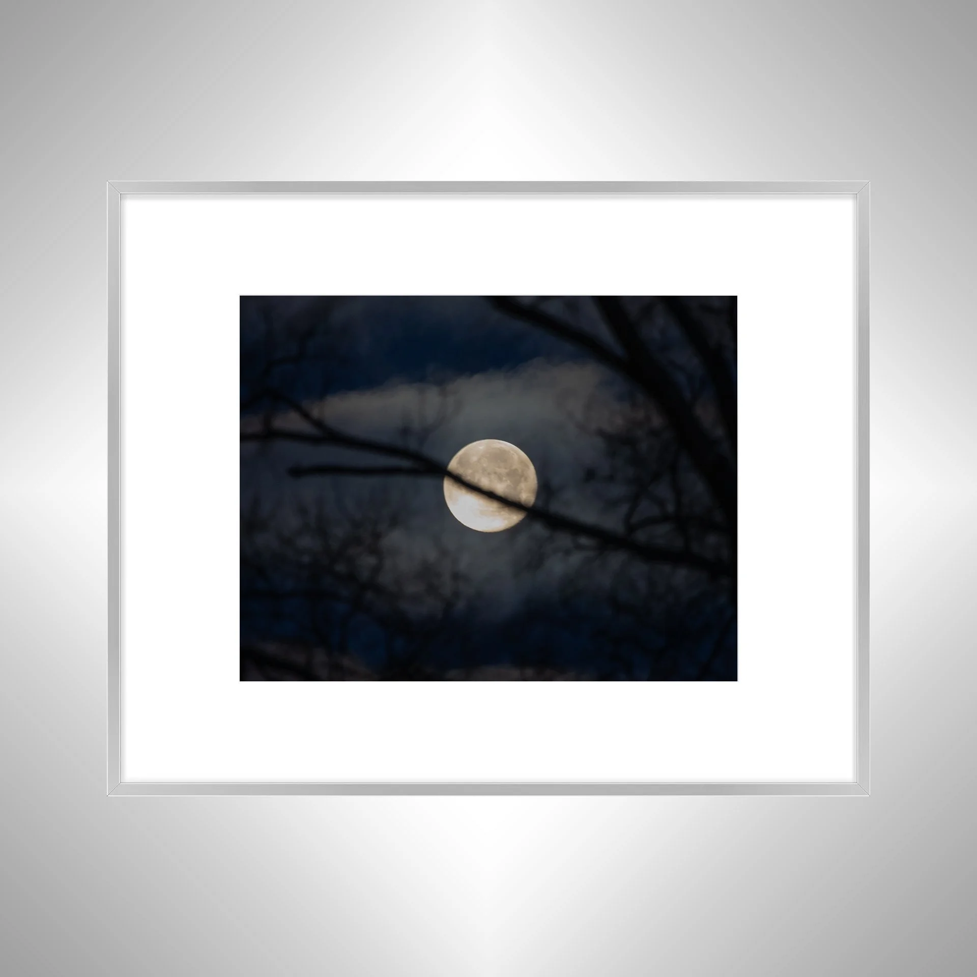 1:1 Moon thru Tree Branches- Silver Metal w: Border.jpg