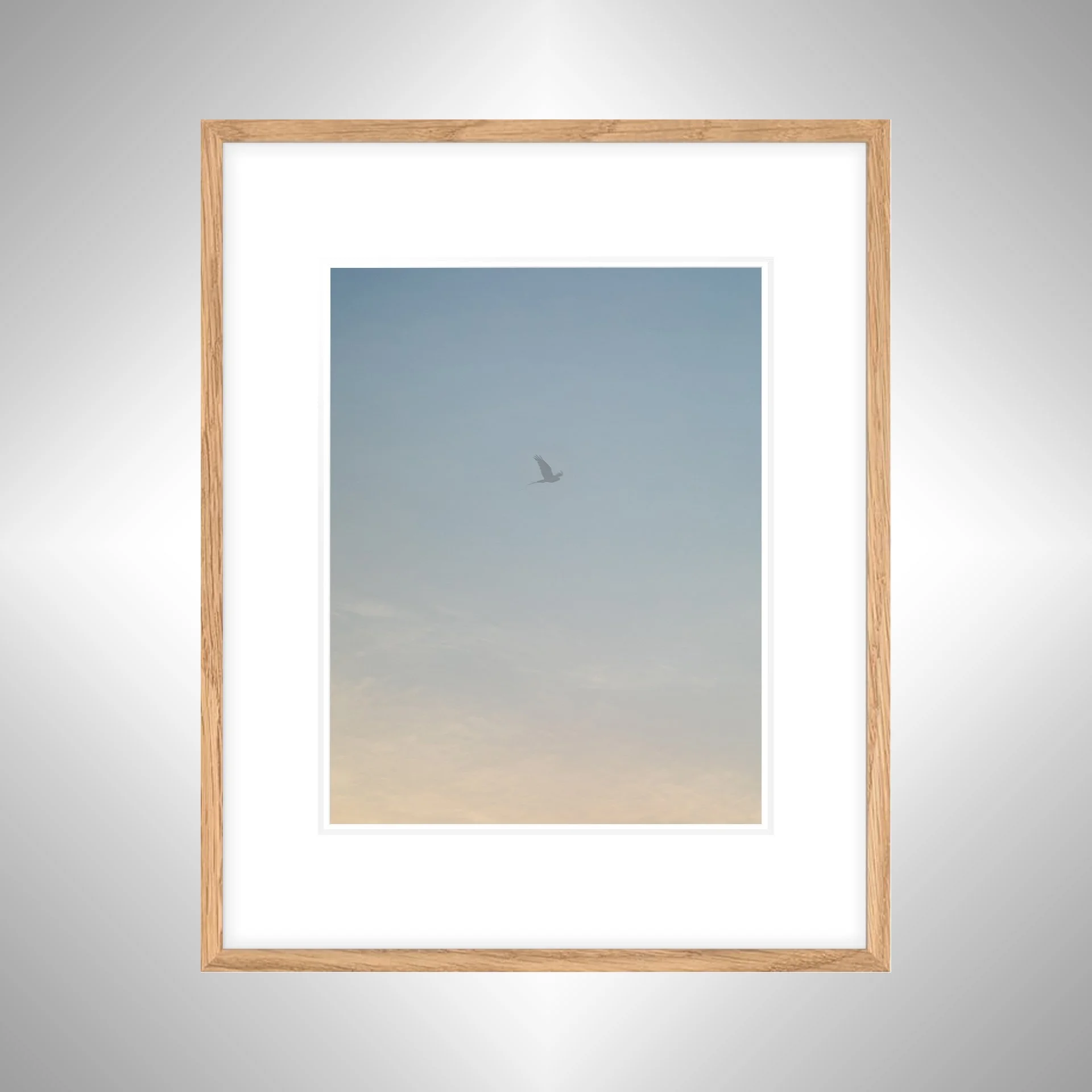 1:1 Seagull thru Fog- White w: Border copy NATTY.jpg