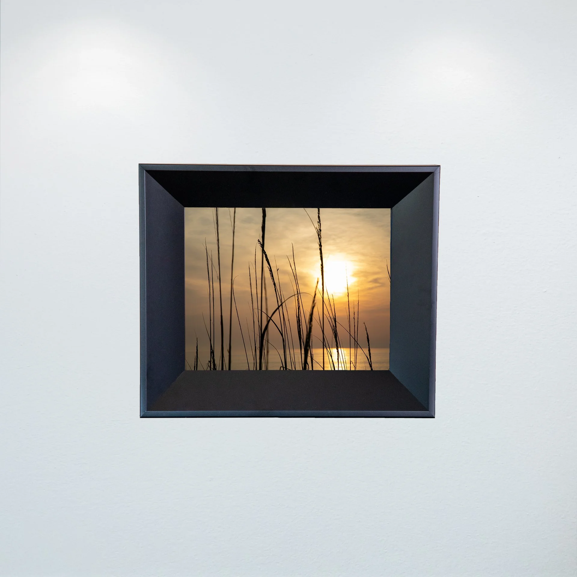 1:1 Sunny Morning thru Dunegrass- Mini.jpg