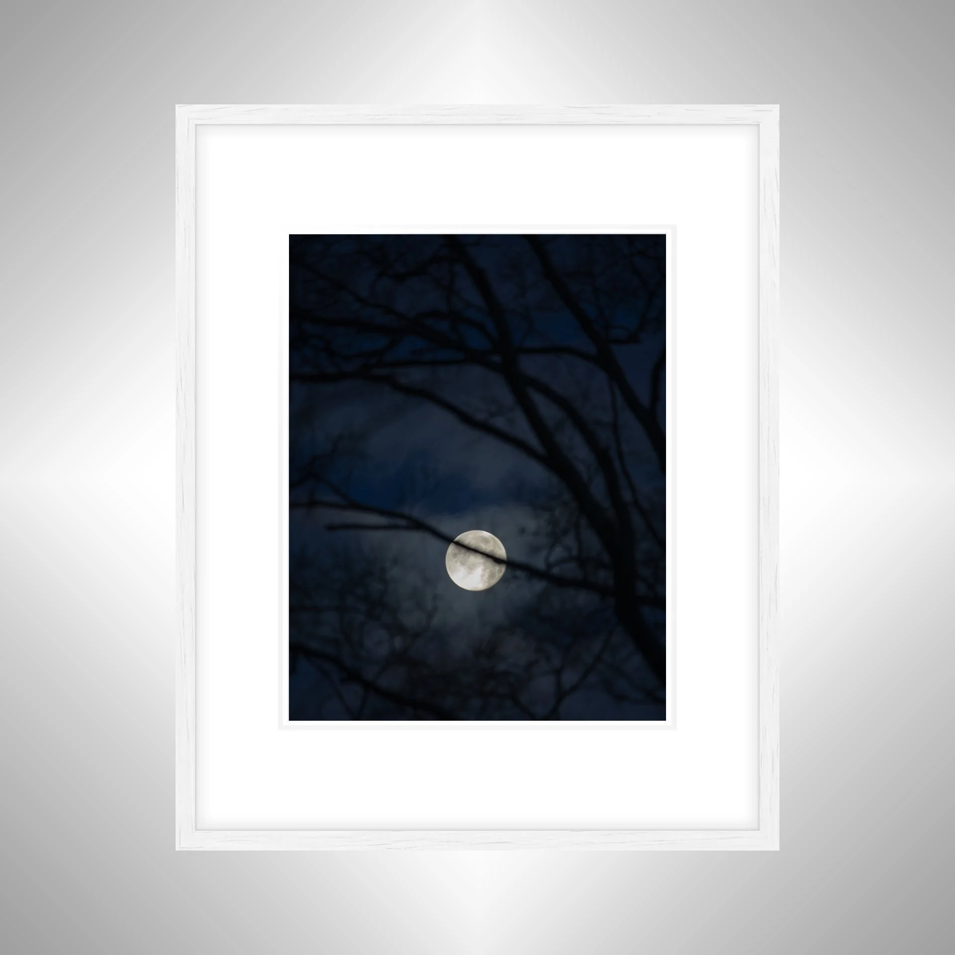 1:10 Moon thru Tree Branches- White w: Border.jpg
