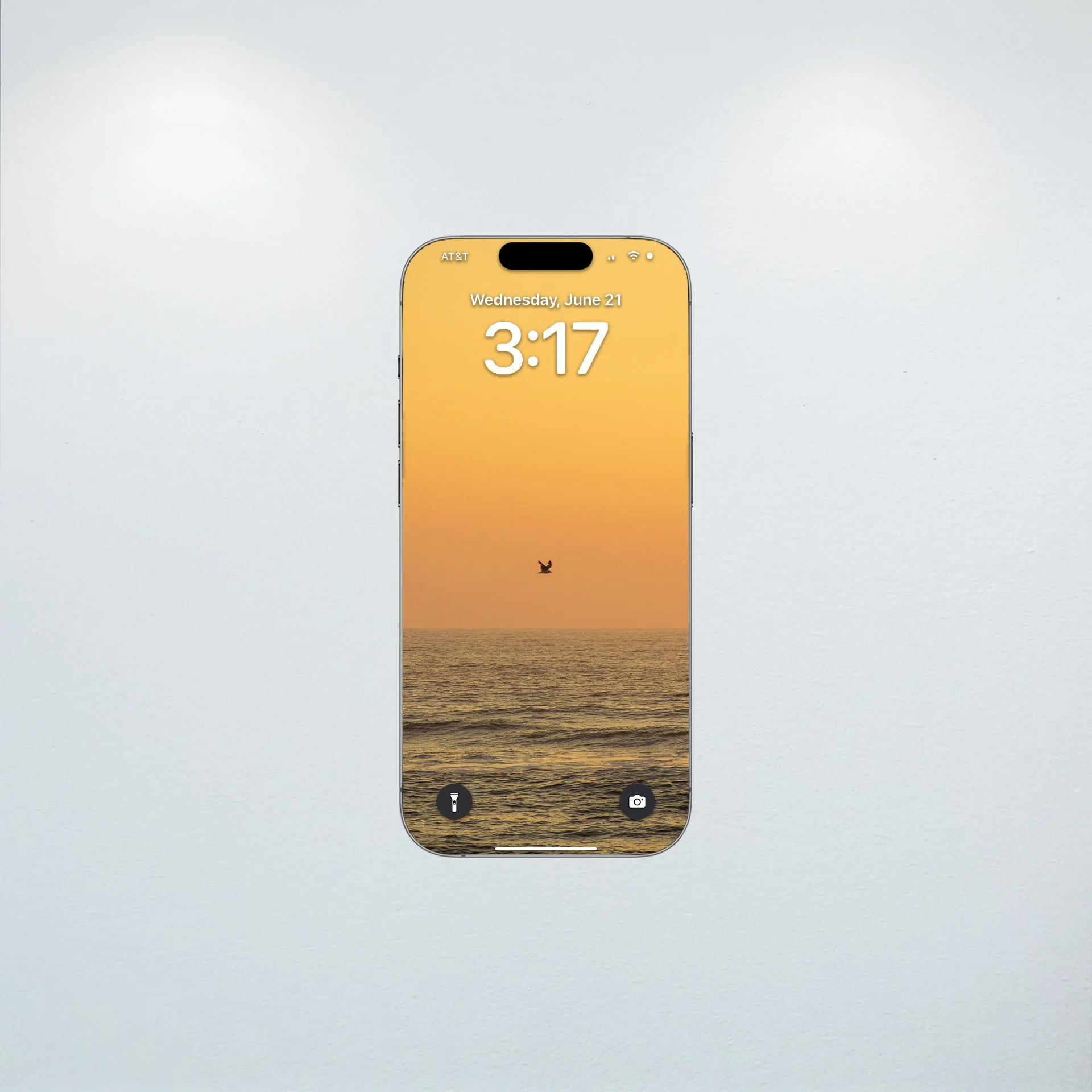 1:10 Sunrise Soaring Seagull- Wallpaper.jpg