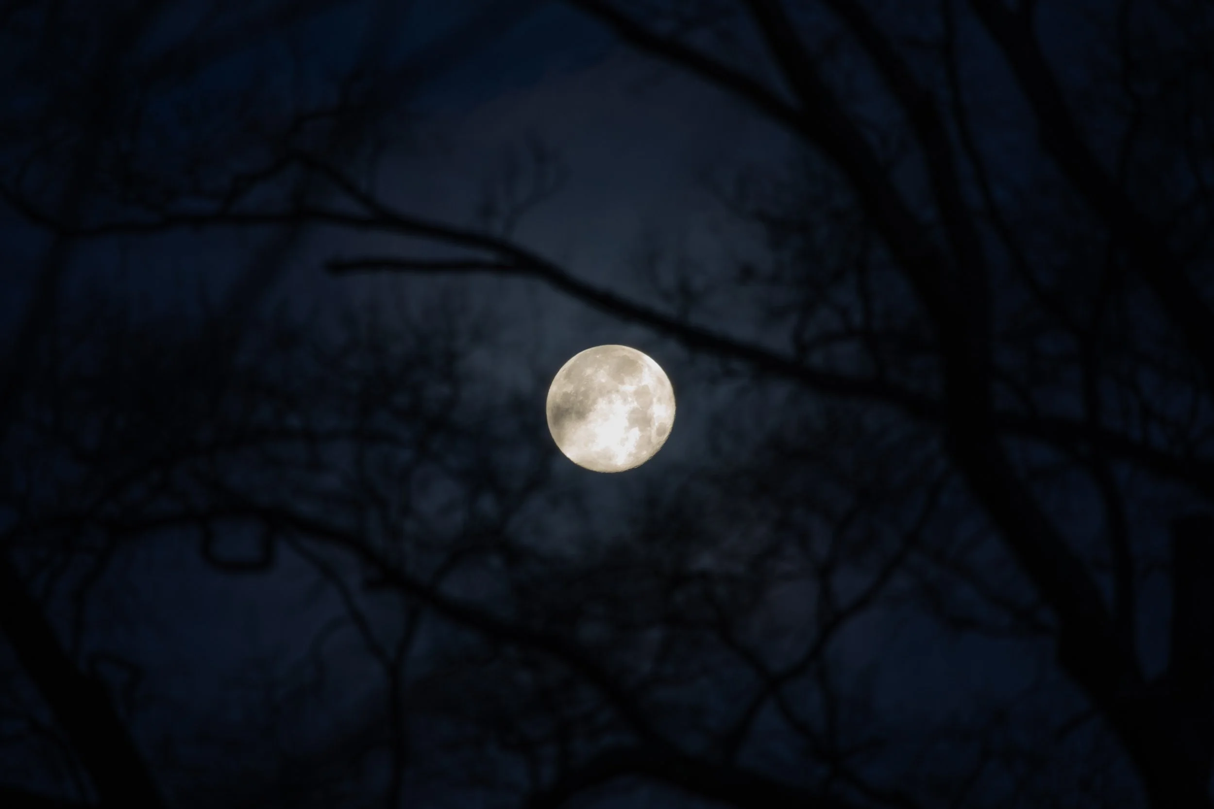 1:10 Spooky Morning in Norfolk.jpg