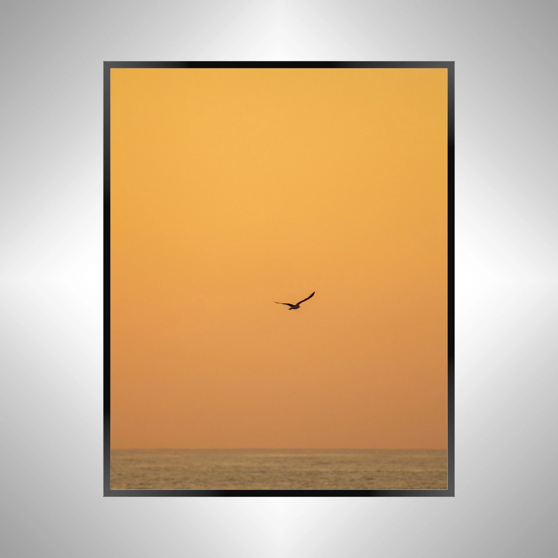 1/10 Seagull Flying on Ocean