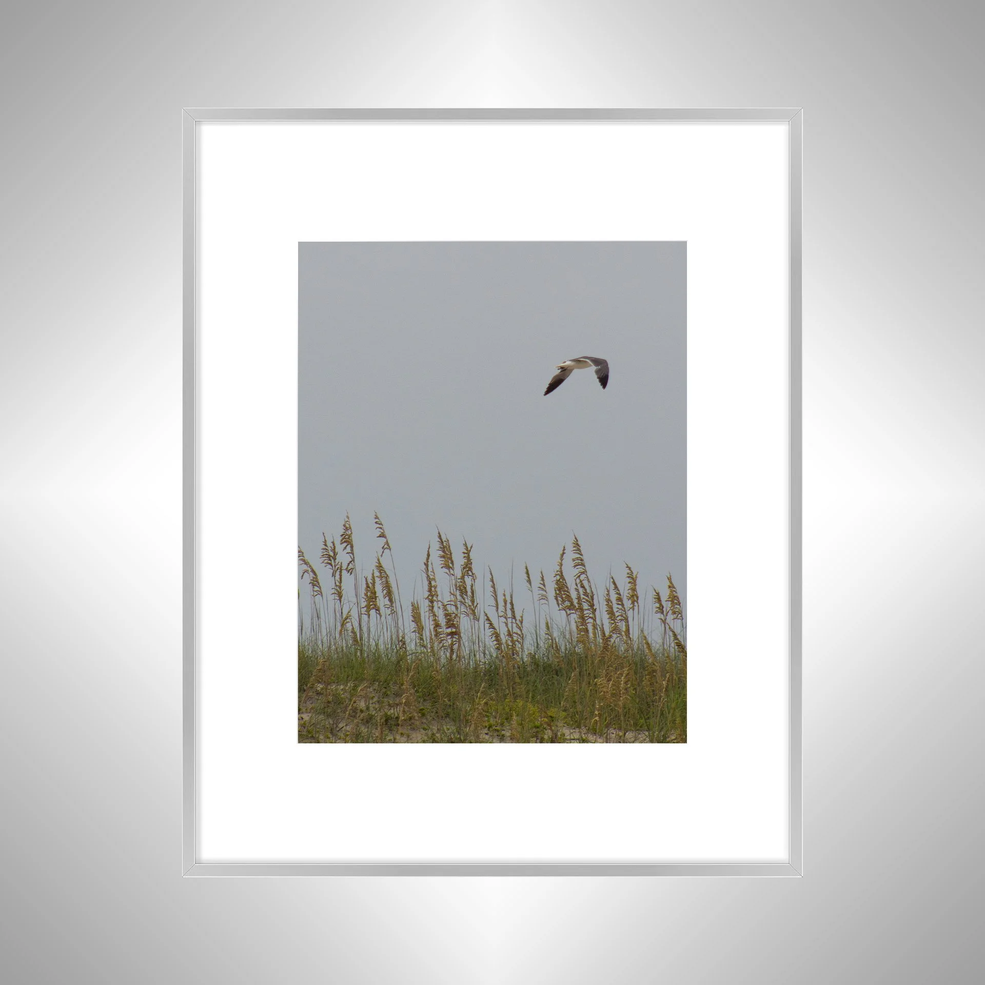 1:1 Seagull with Sea Oats- Silver w: Border.jpg