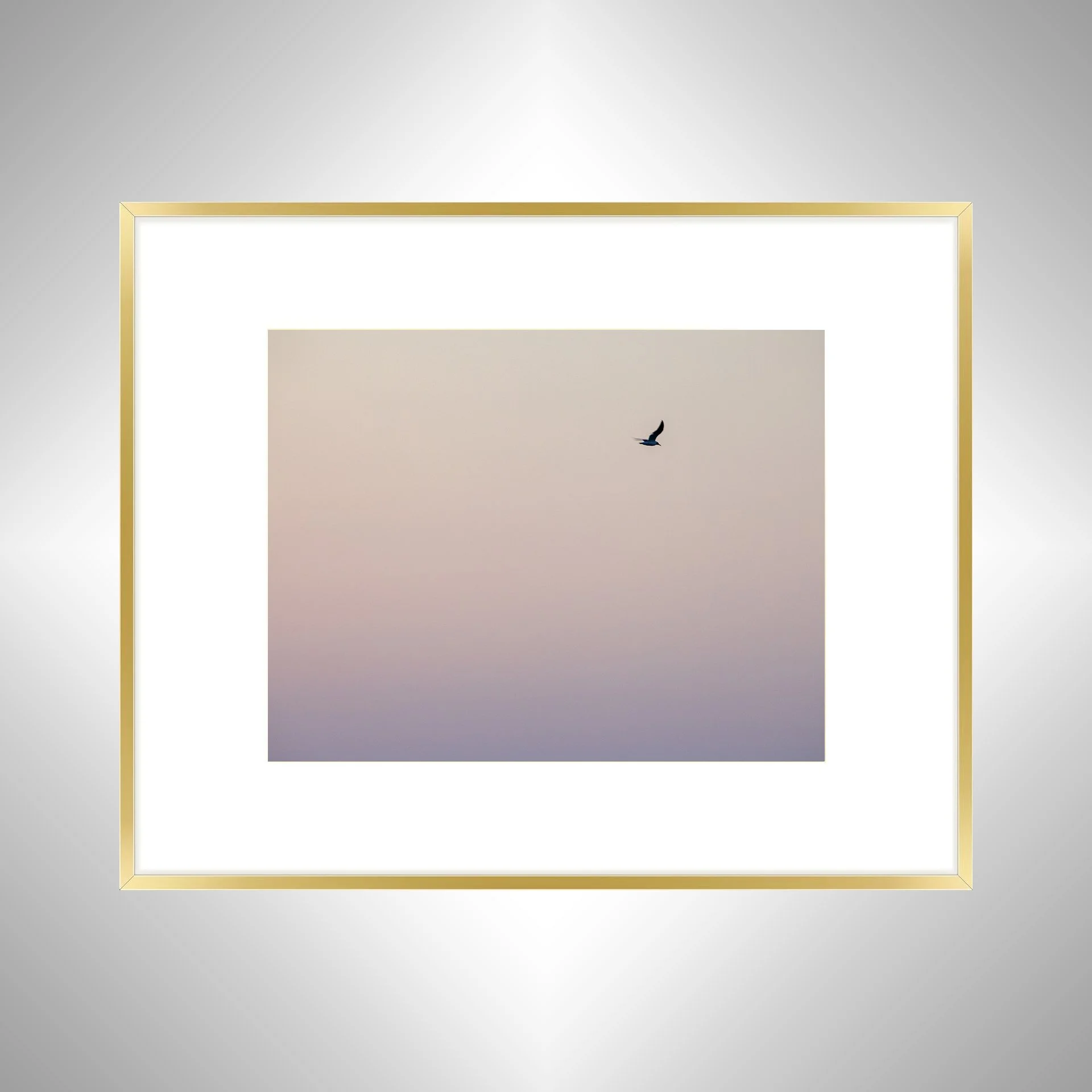 1:1 Seagull Flying on Pink Gradient- Gold w: Border.jpg