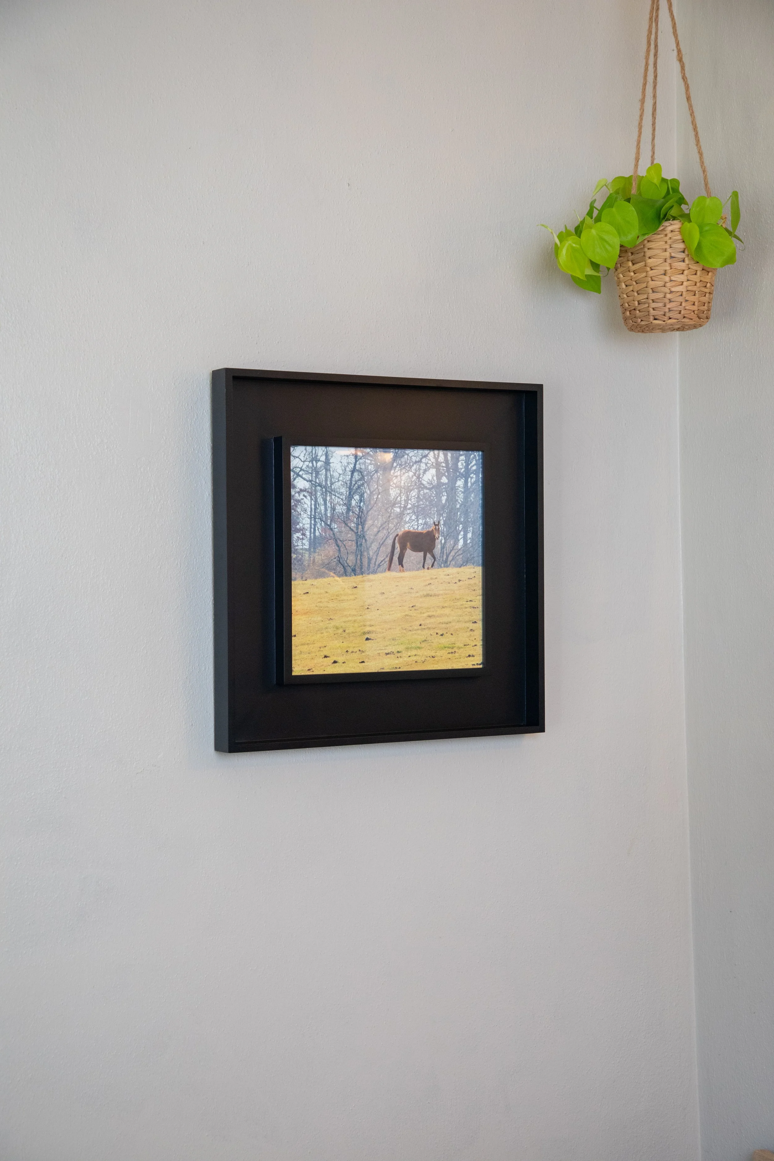 On Hand- 1:10 Shenandoah Horse in Window Wood Frame2.jpg
