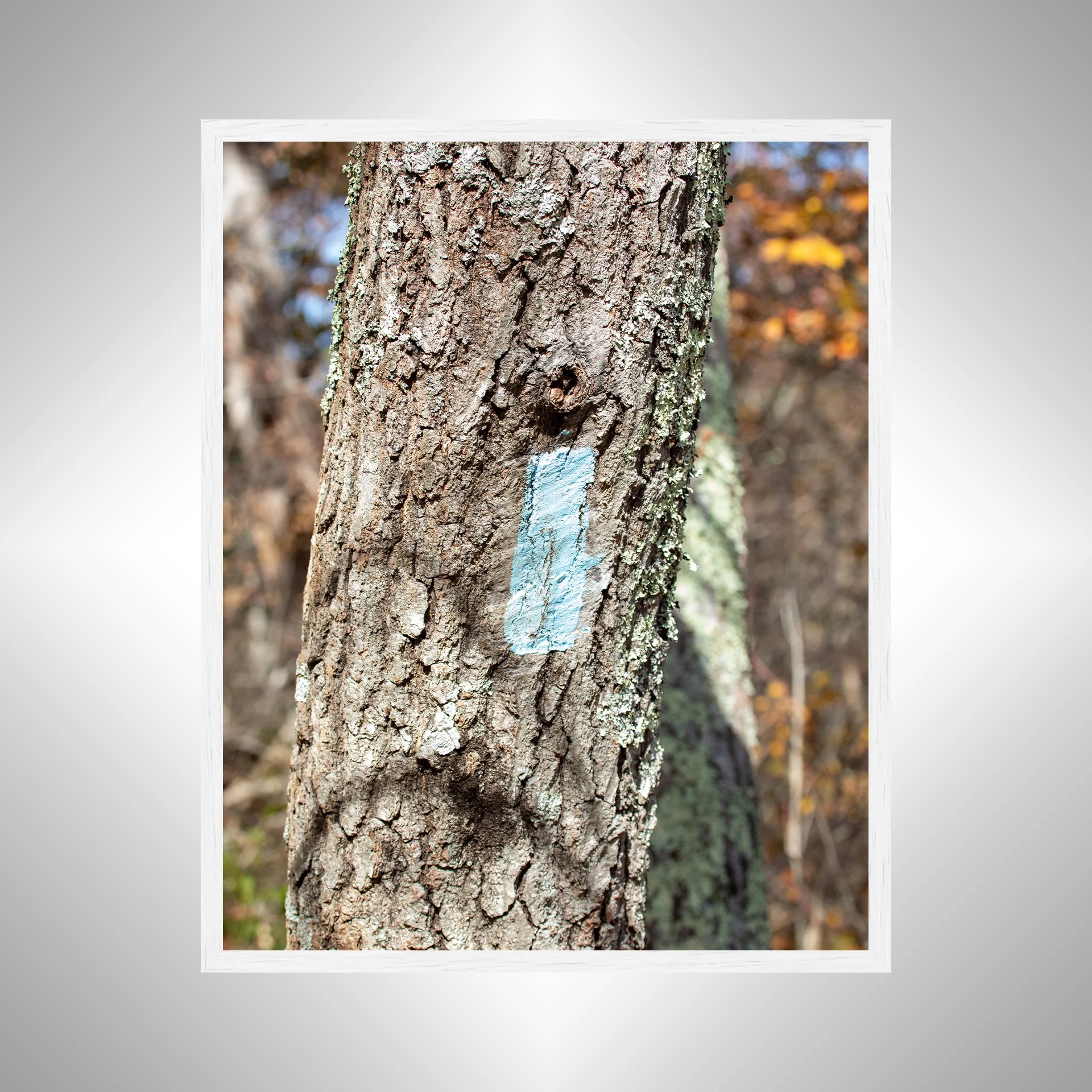 1:10 Appalachian Trail Blaze- White.jpg