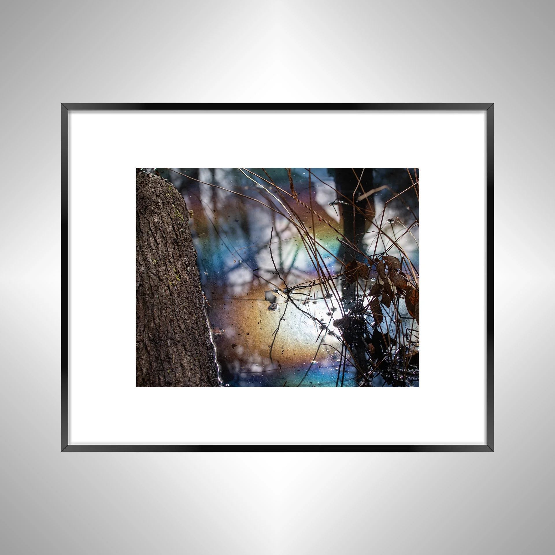 1:1 Rainbow Water at First Landing- Black w: Border.jpg