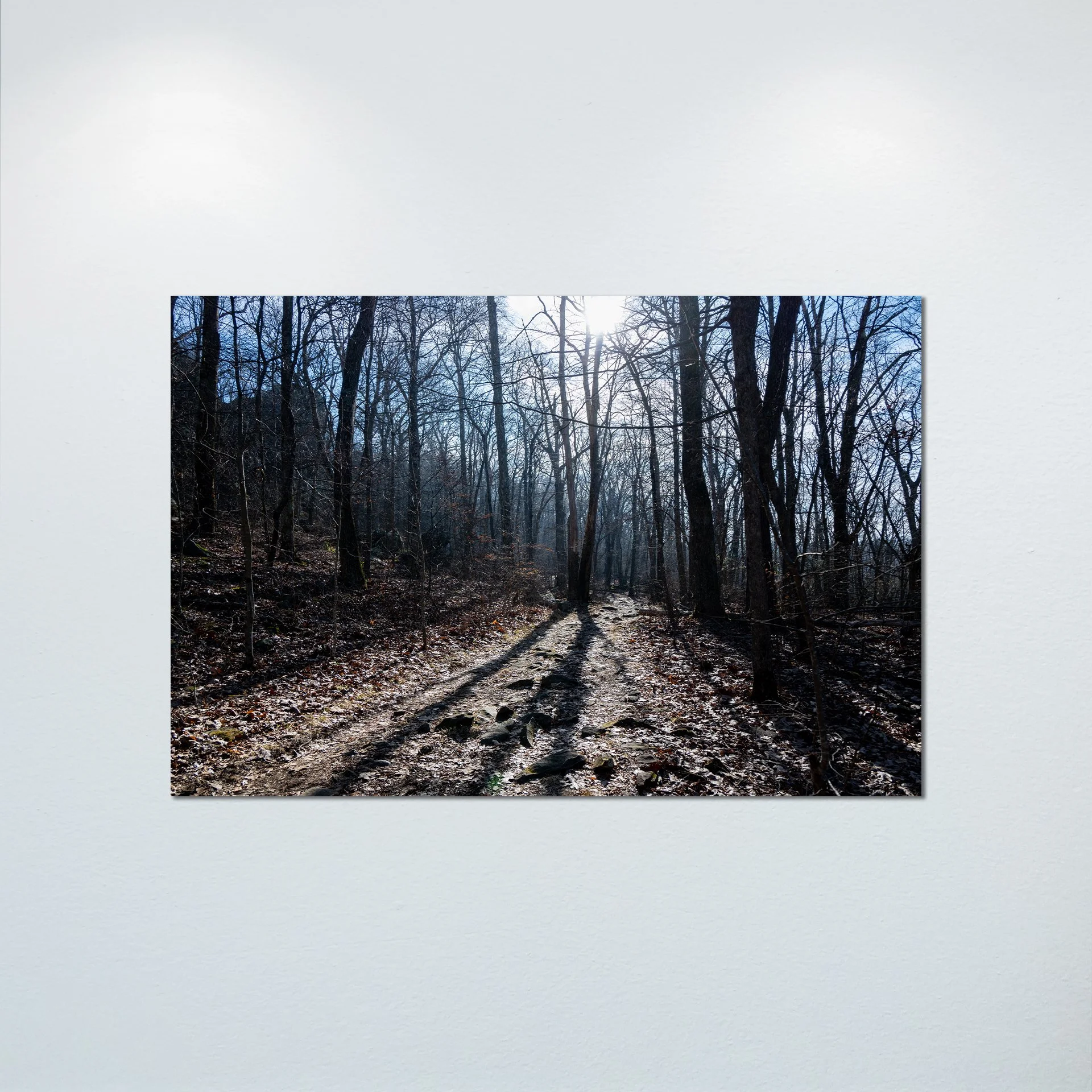 1:10 Shenandoah National Park Trail- Poster & Canvas.jpg