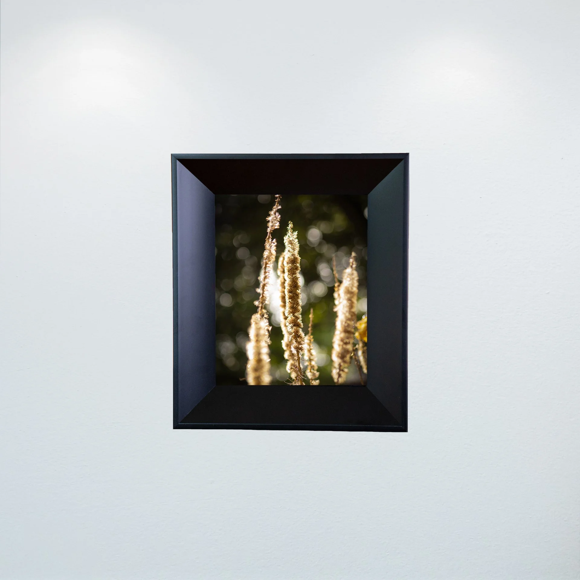 1:1 Group of Foxgloves in Winter- Mini.jpg