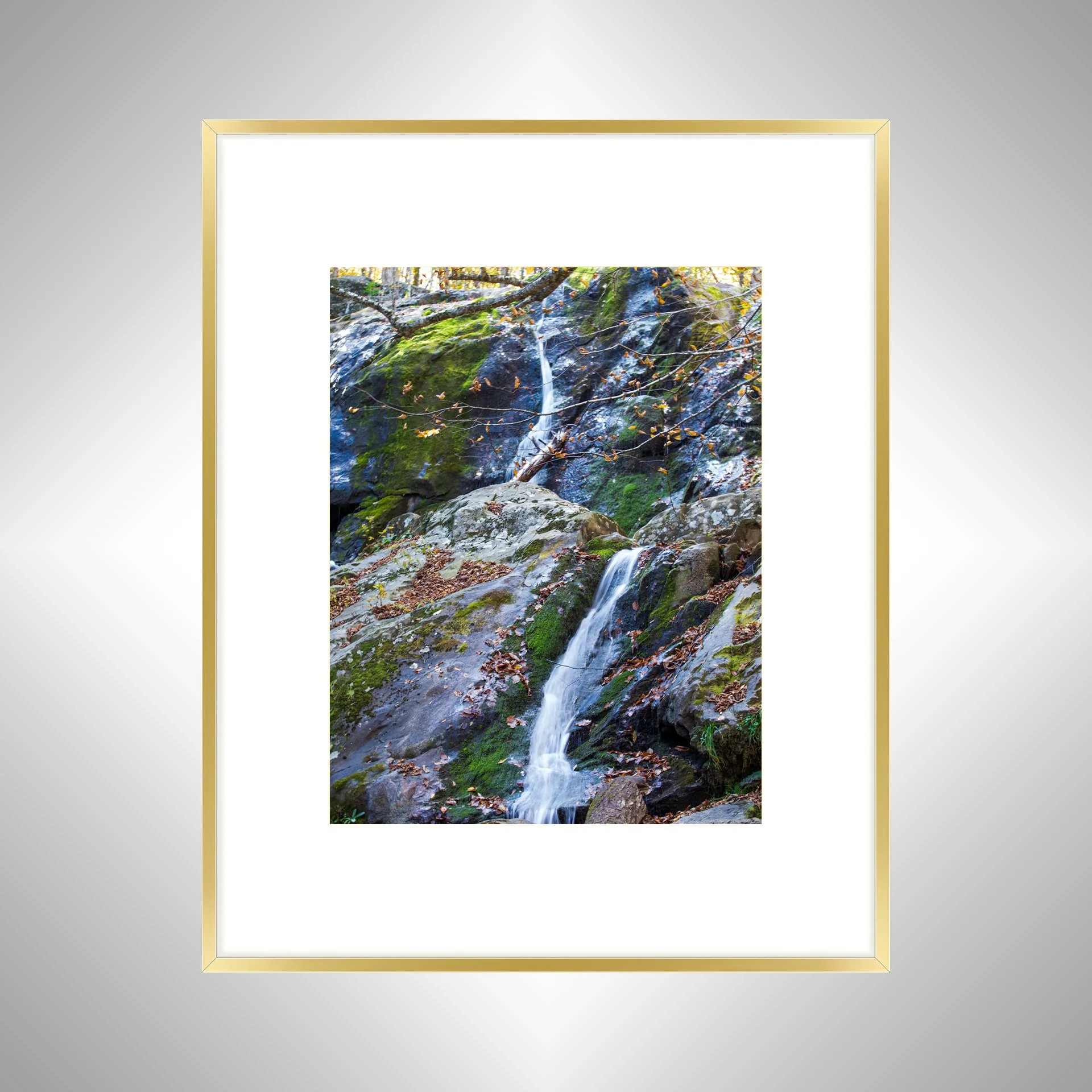 1:1 Shenandoah National Park, Dark Hollow Falls Waterfall- Gold w: Border.jpg