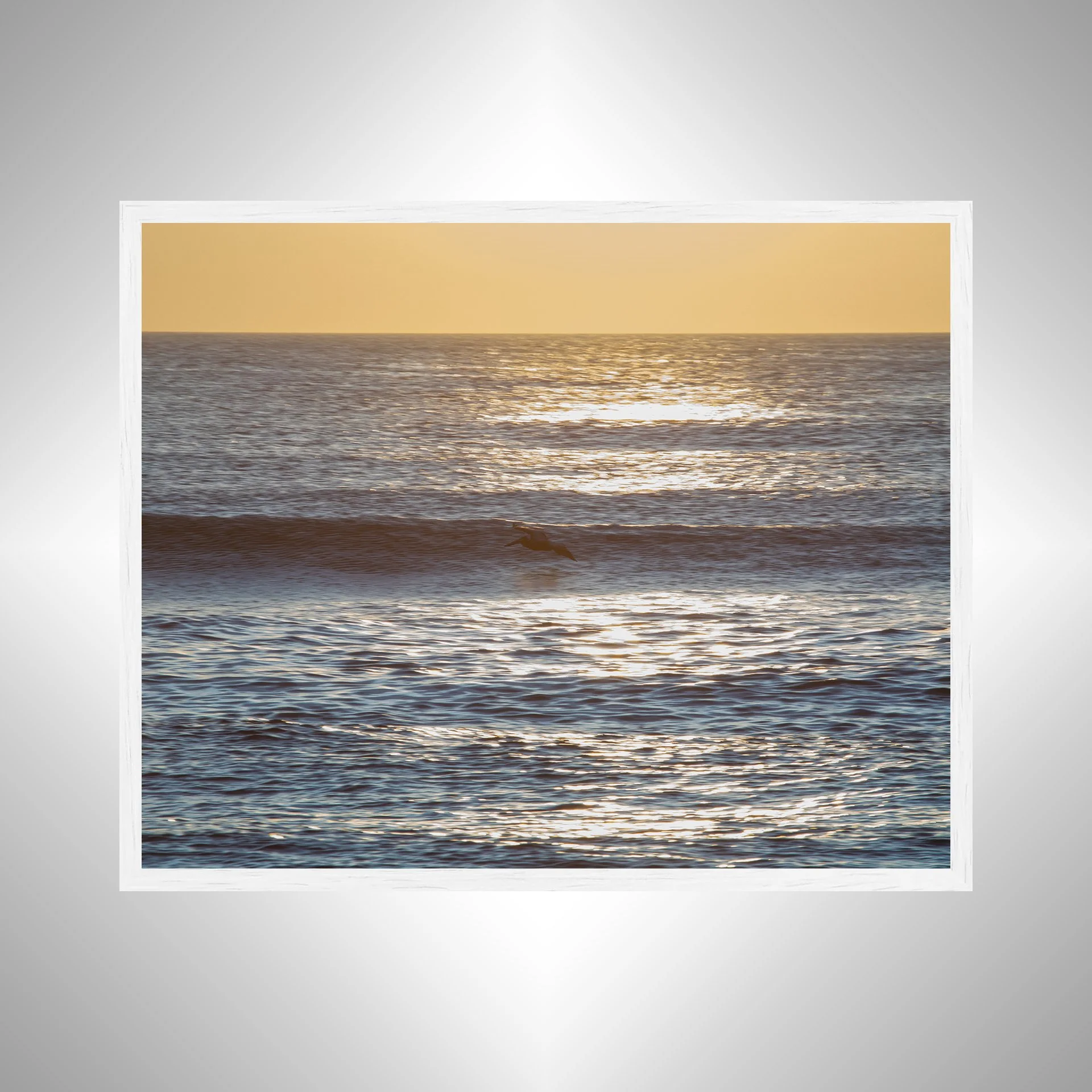 1:10 Wave Rider Glider-.jpg