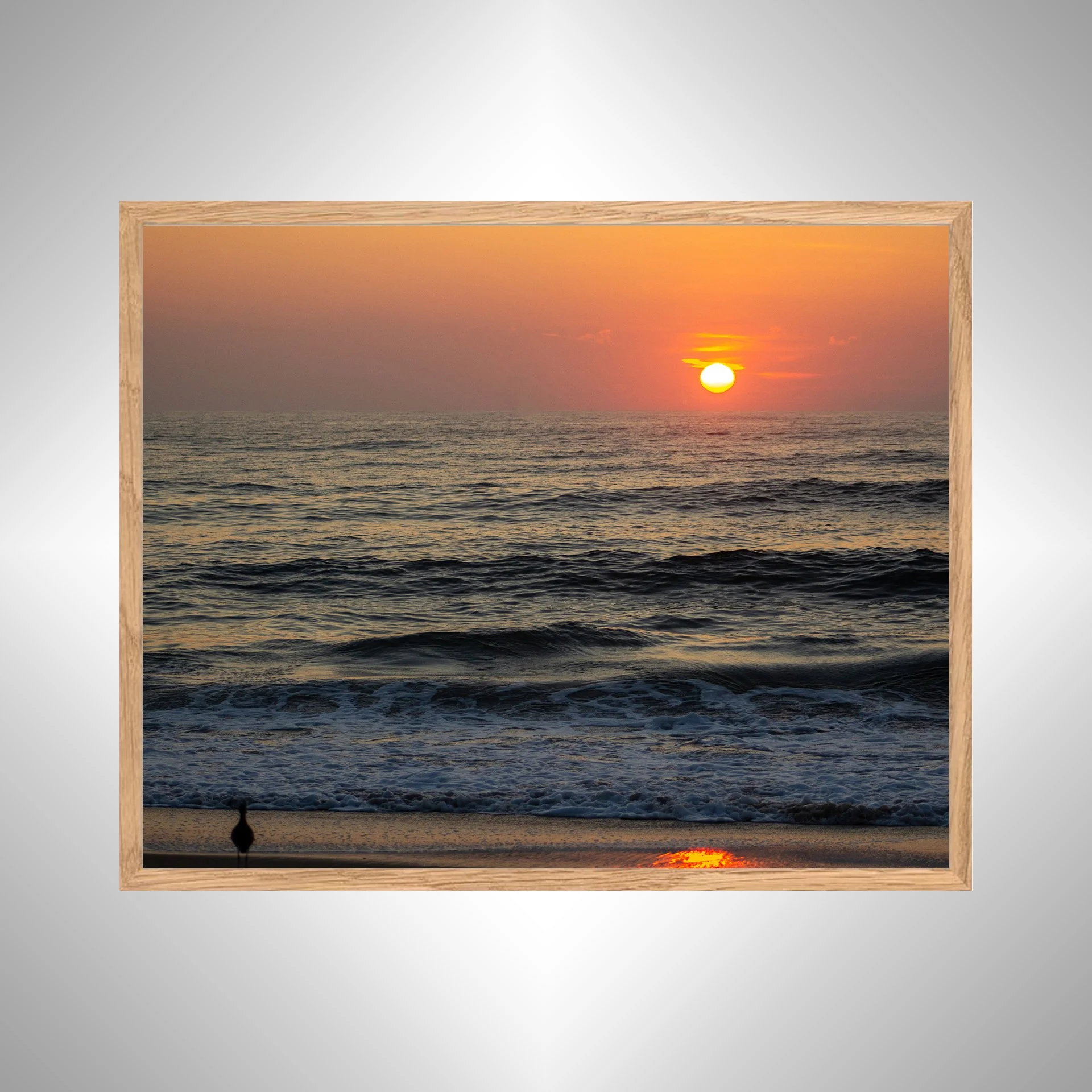 1:1 Willet Watching Sunrise- White copy NATTY.jpg