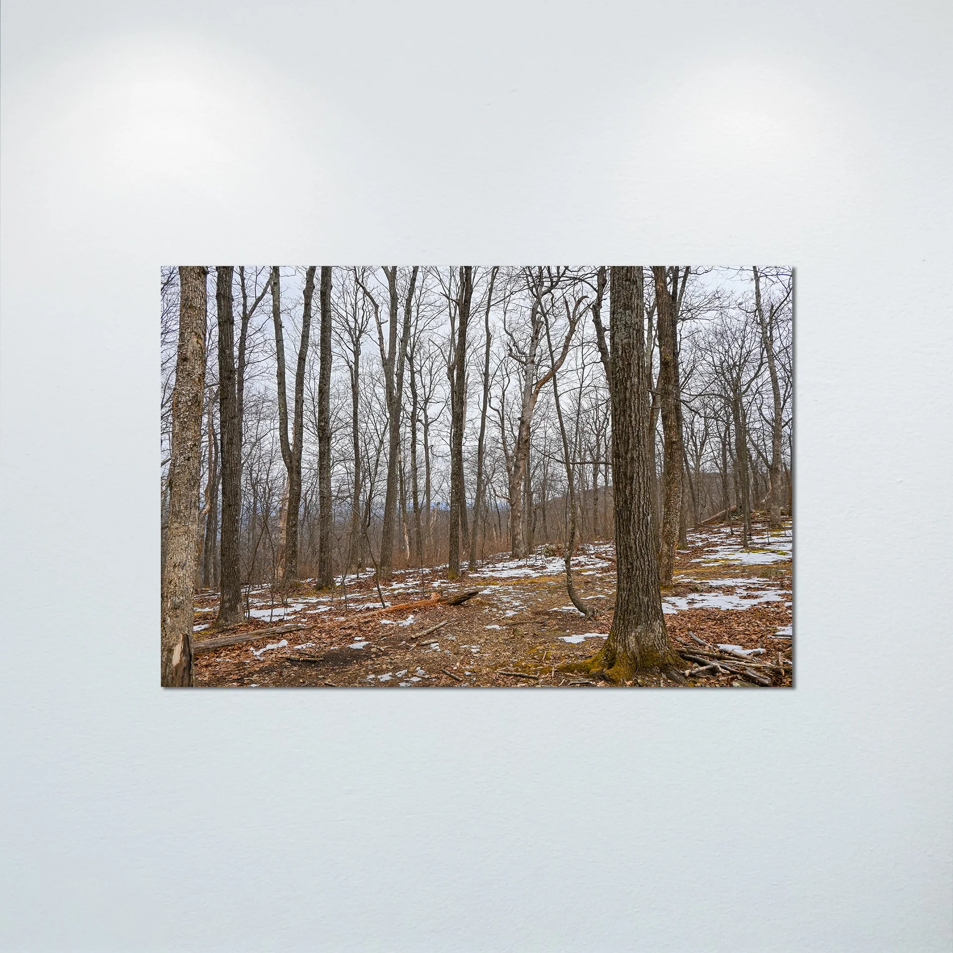 1:10 Nellysford Mountain Trees in Winter- Poster & Canvas.jpg
