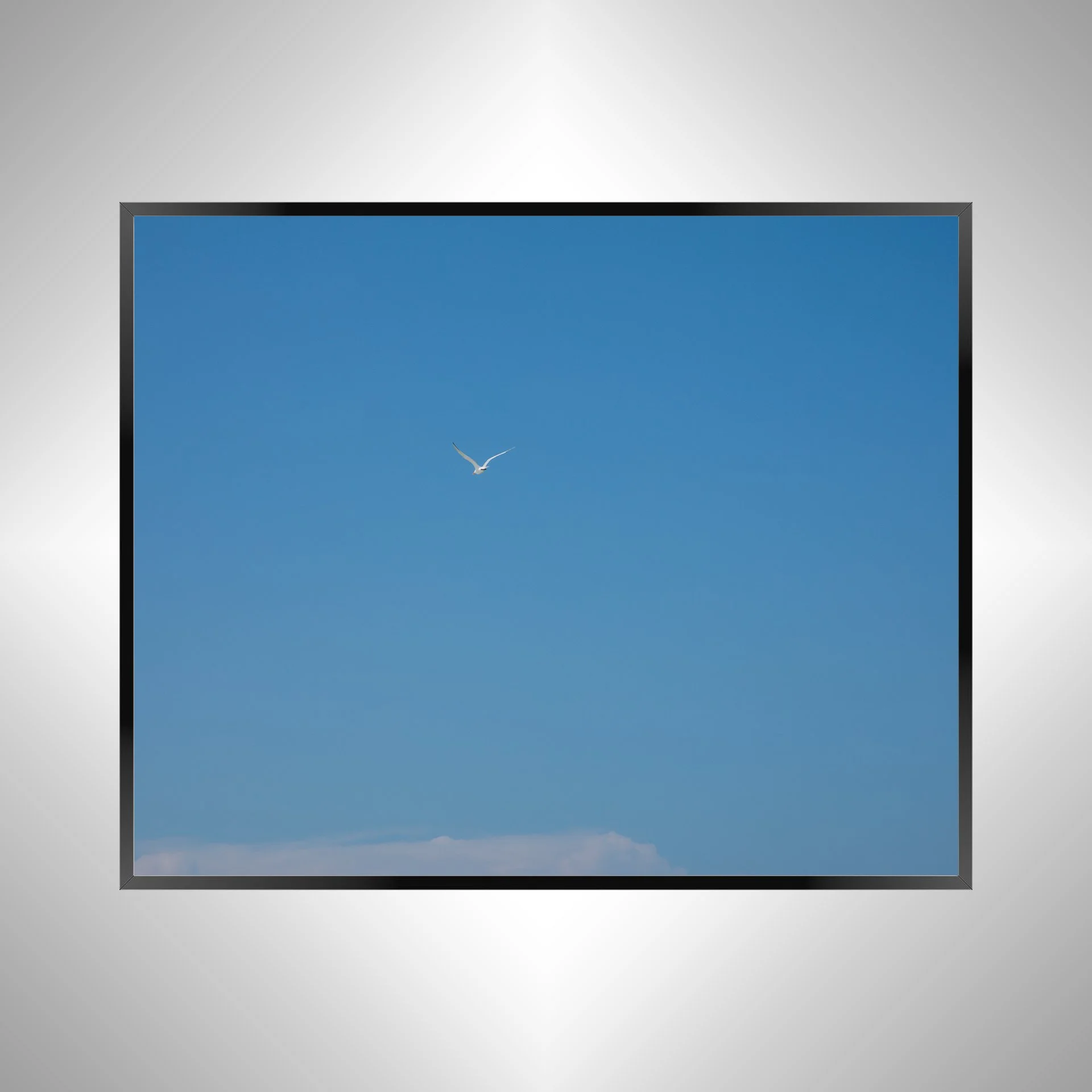 1/10 Seagull Flying Away