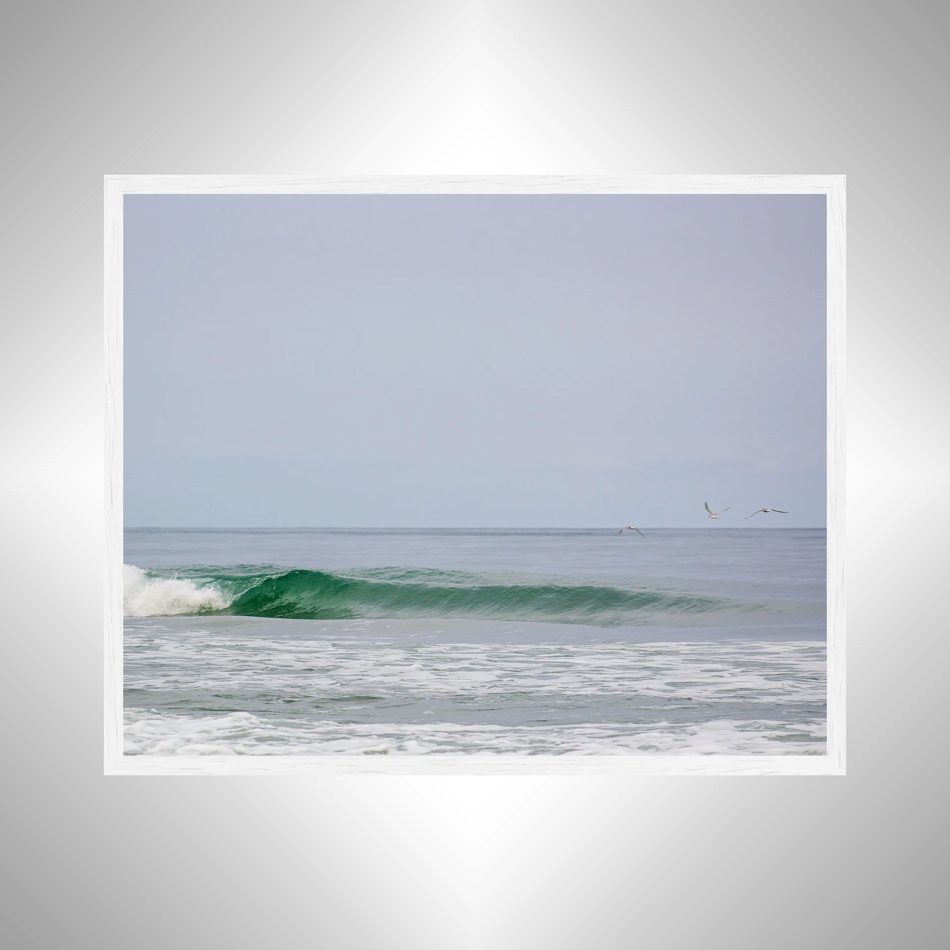 1:1 Trio of Seagulls Flying by Barrel- White.jpg