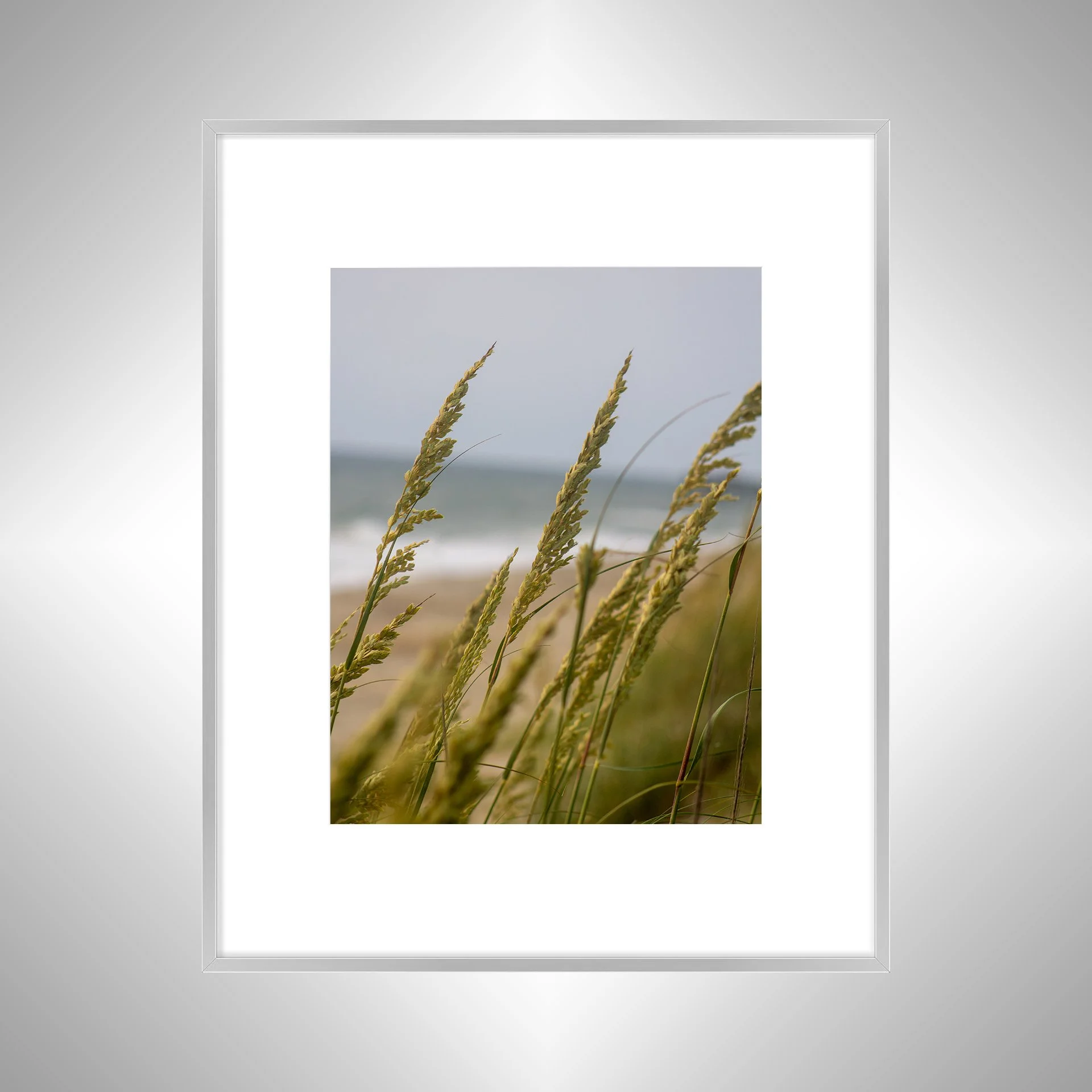 1:1 Rodanthe Dune Oats Group- Silver w: Border.jpg