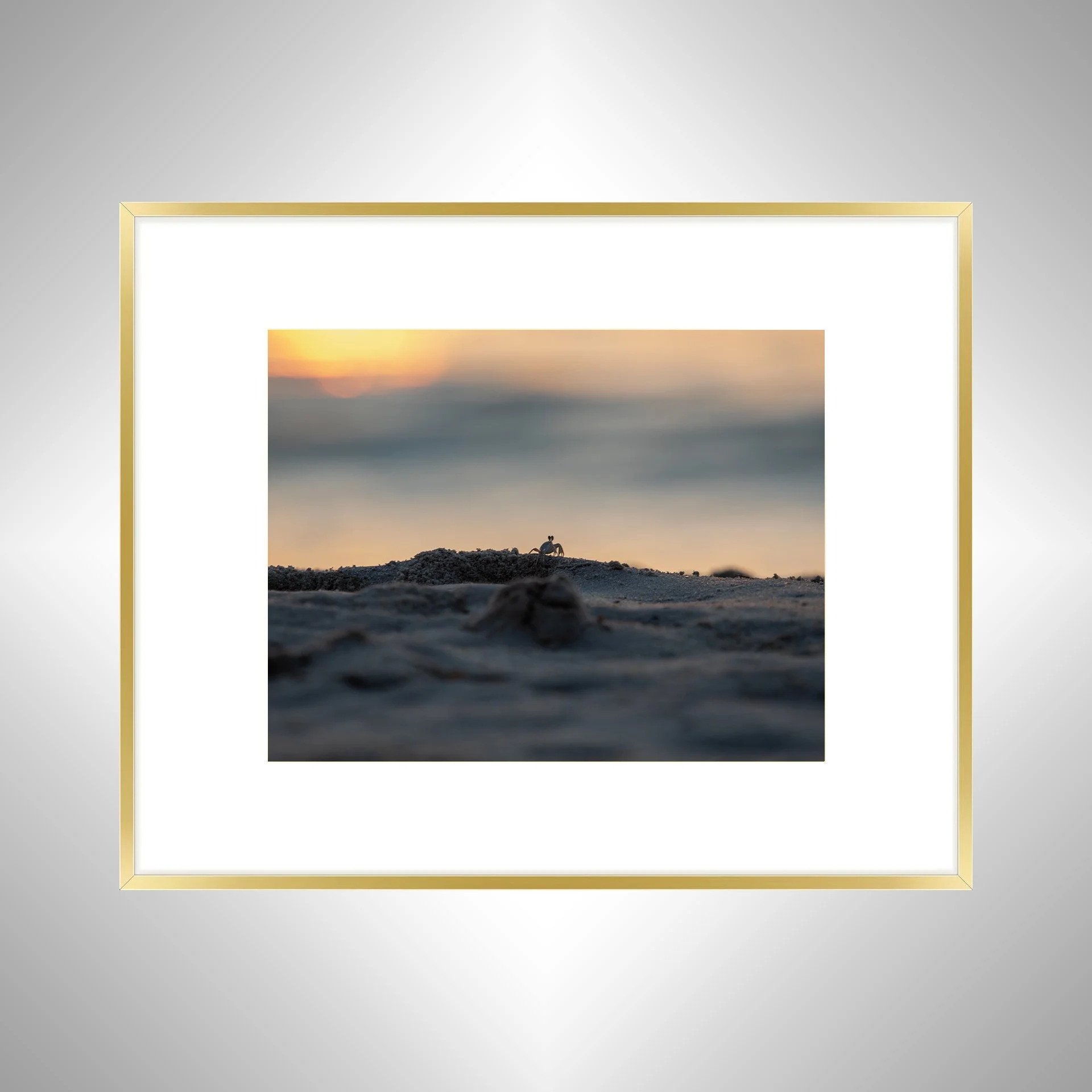 1:1 Ghost Crab Watching Sunrise in Duck, NC- Gold Metal w: Border.jpg