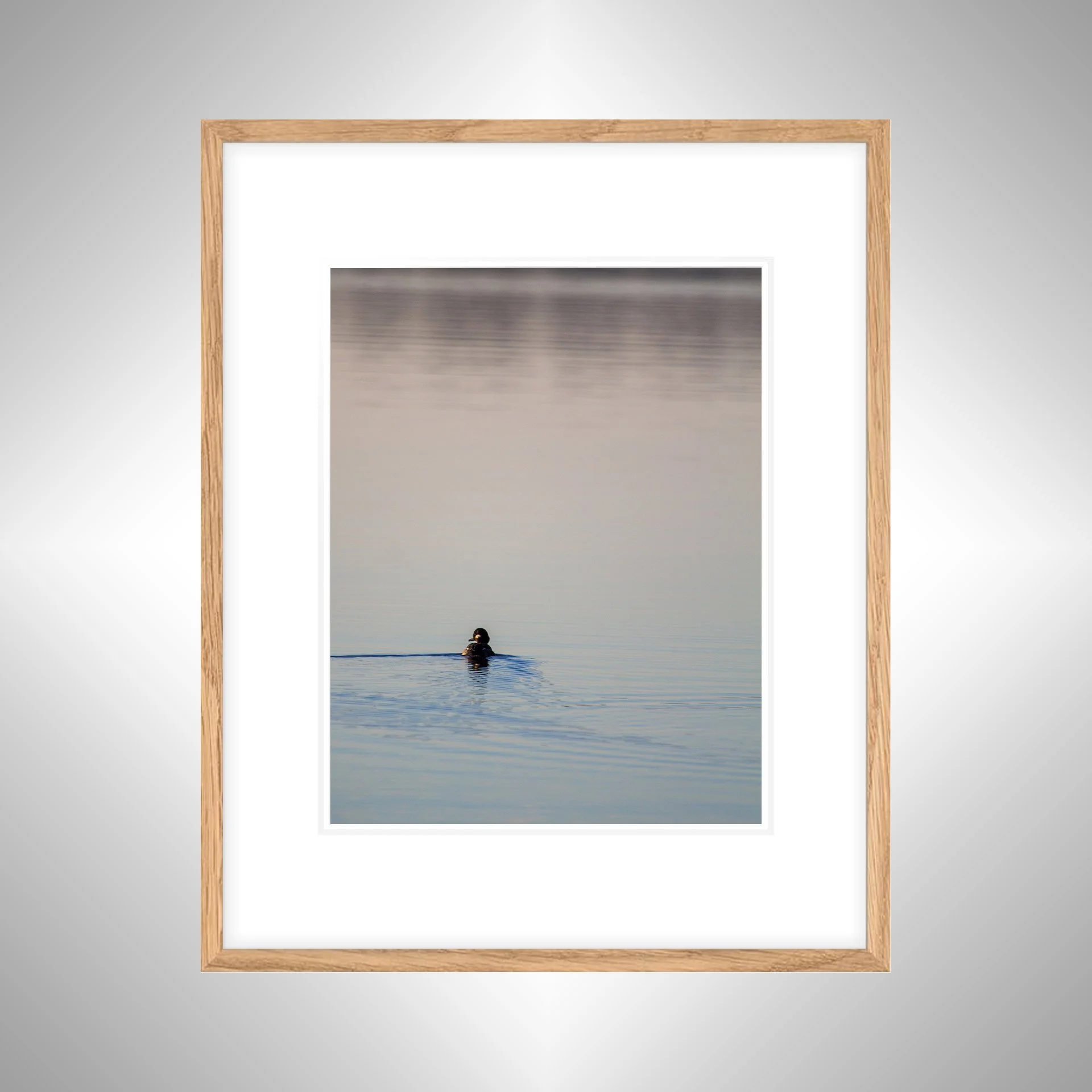 1:10 Bufflehead on Lafayette- White w: Border copy NATTY.jpg