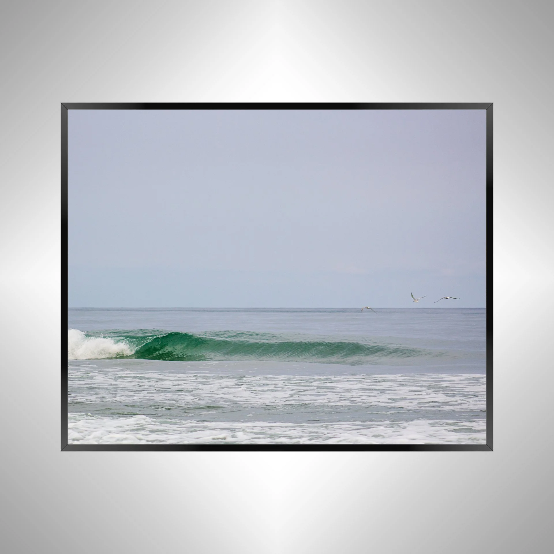 1/1 Trio of Seagulls Flying by Barrel