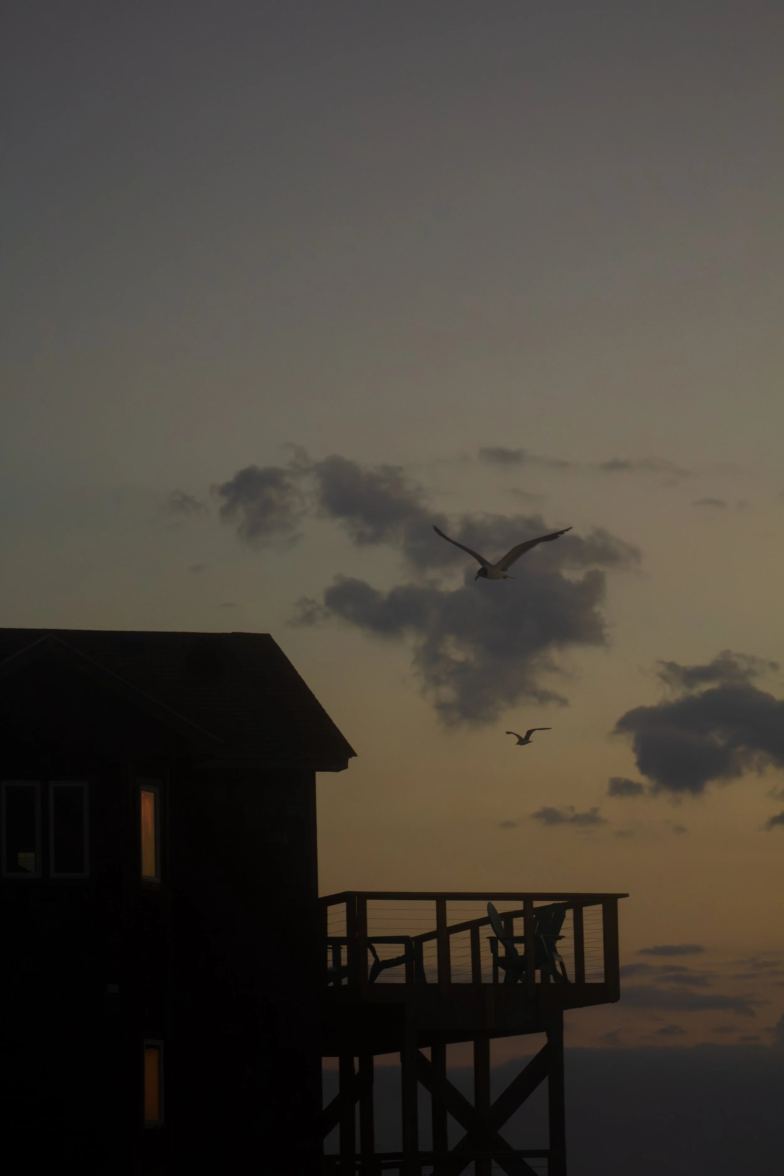1:1 Seagulls Flying by now Fallen Oceanfront House in Rodanthe.jpg