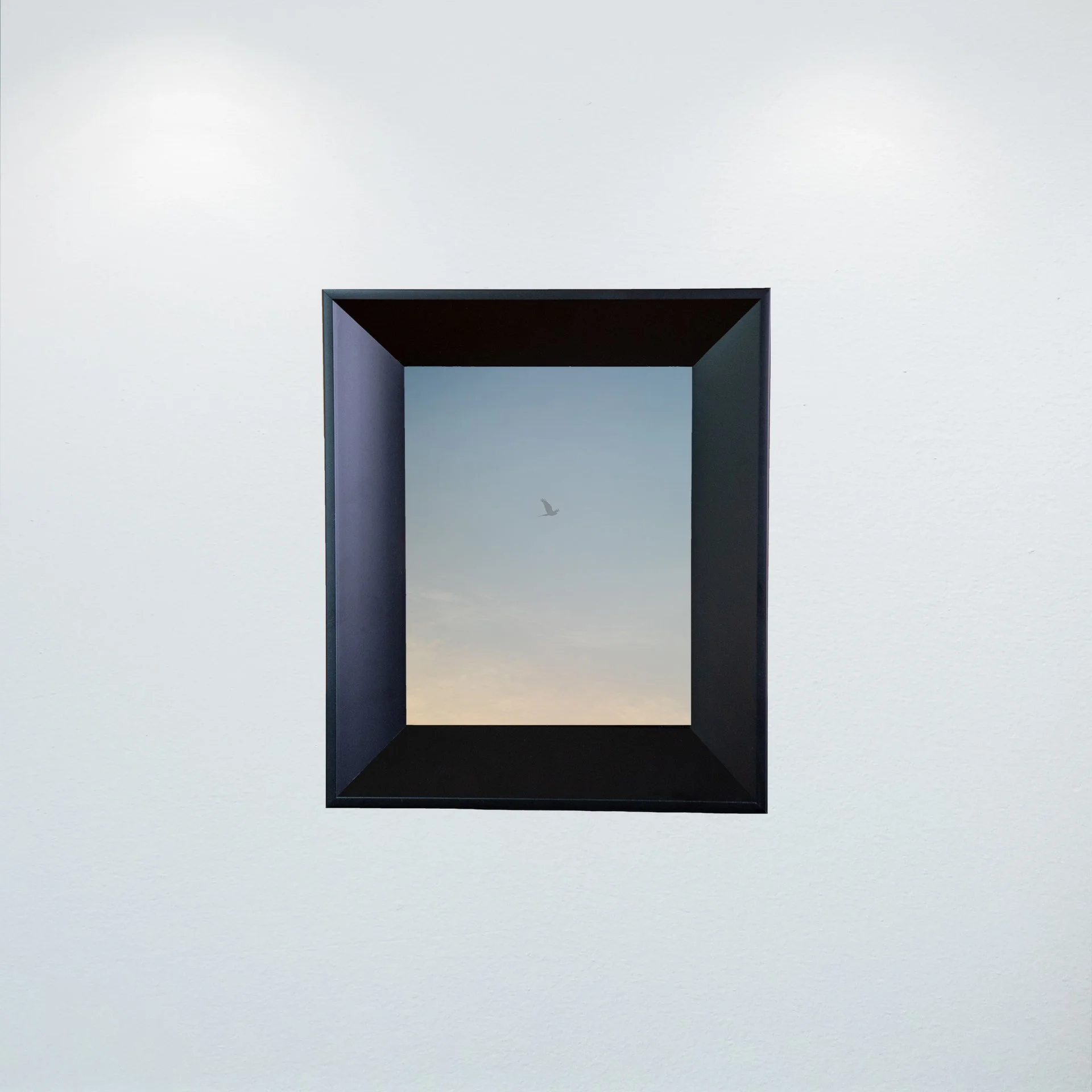 1:1 Seagull thru Fog- Mini.jpg