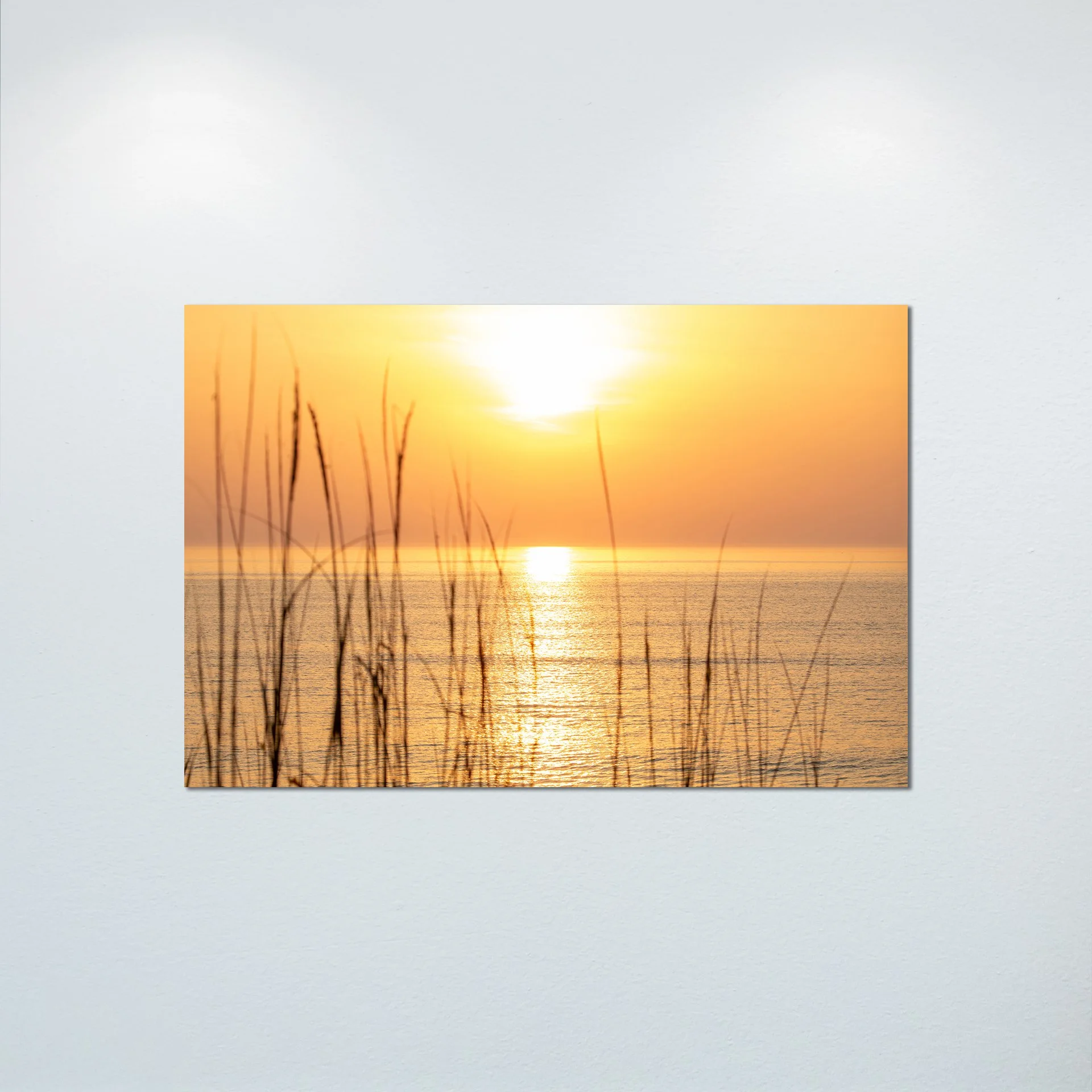 1/1 Sunrise thru Dunegrass