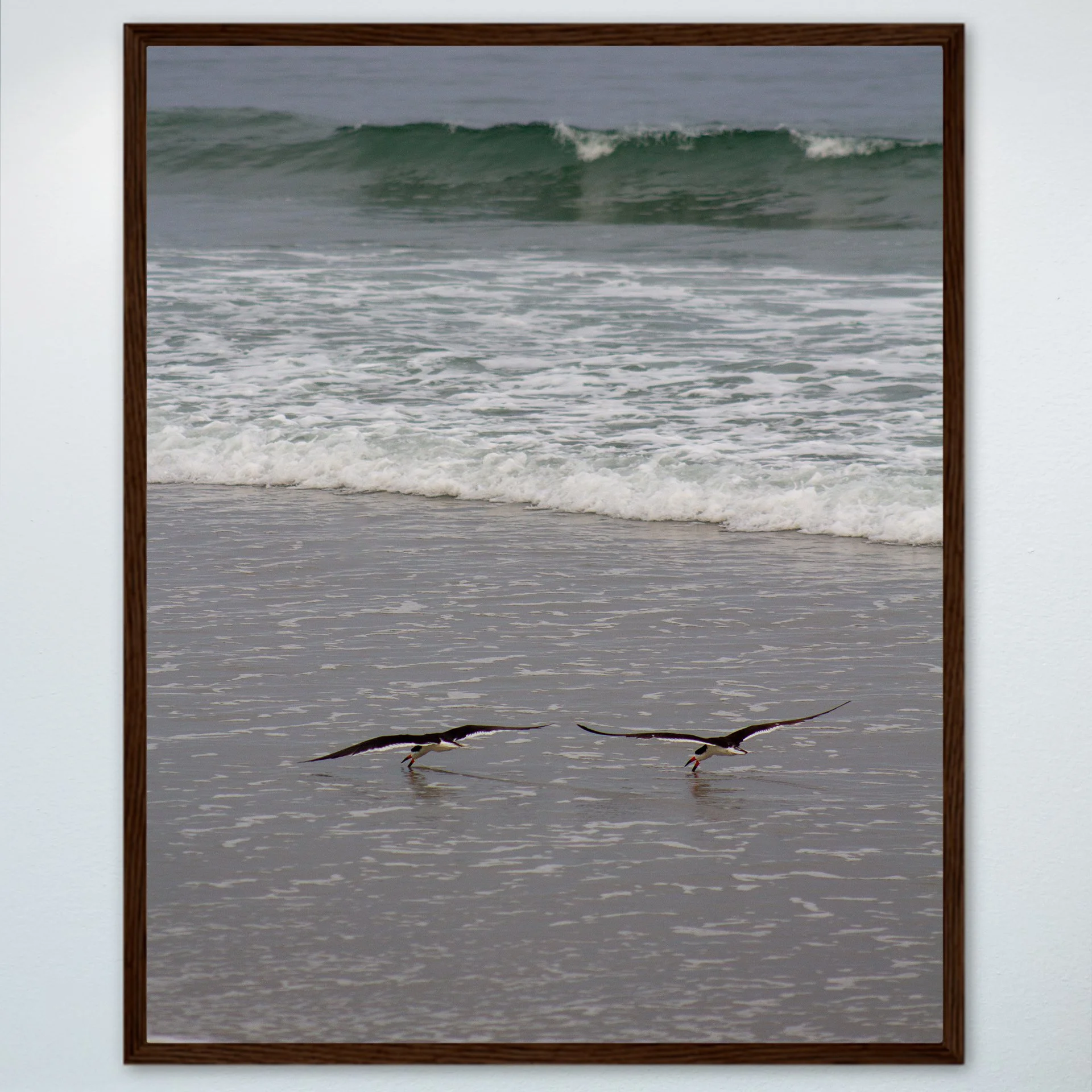 1:1 Oyster Catcher Couple Hunting in Carova- Wood.jpg