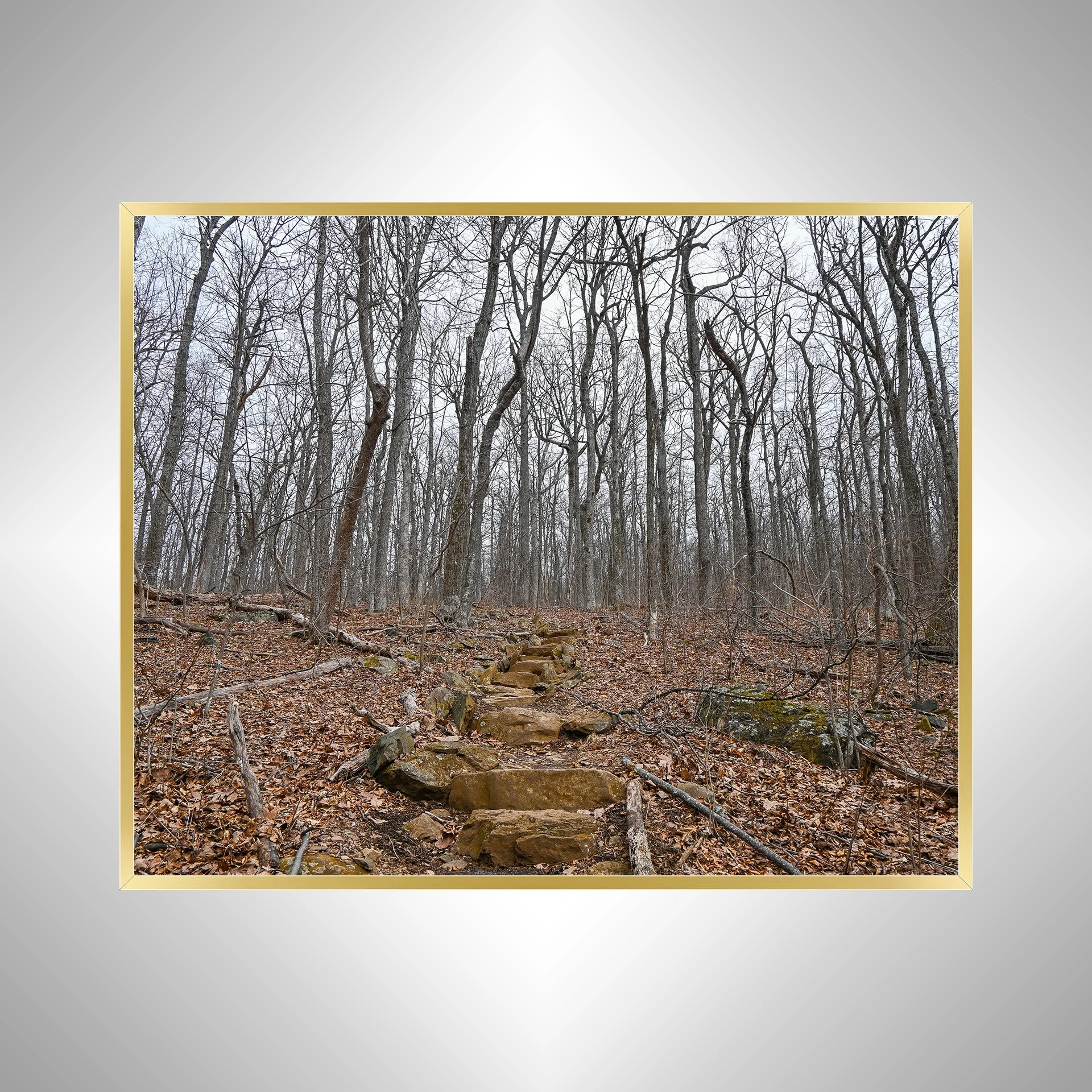 1:1 Nellysford Mountain Rock Staircase in Winter- Gold Metal.jpg