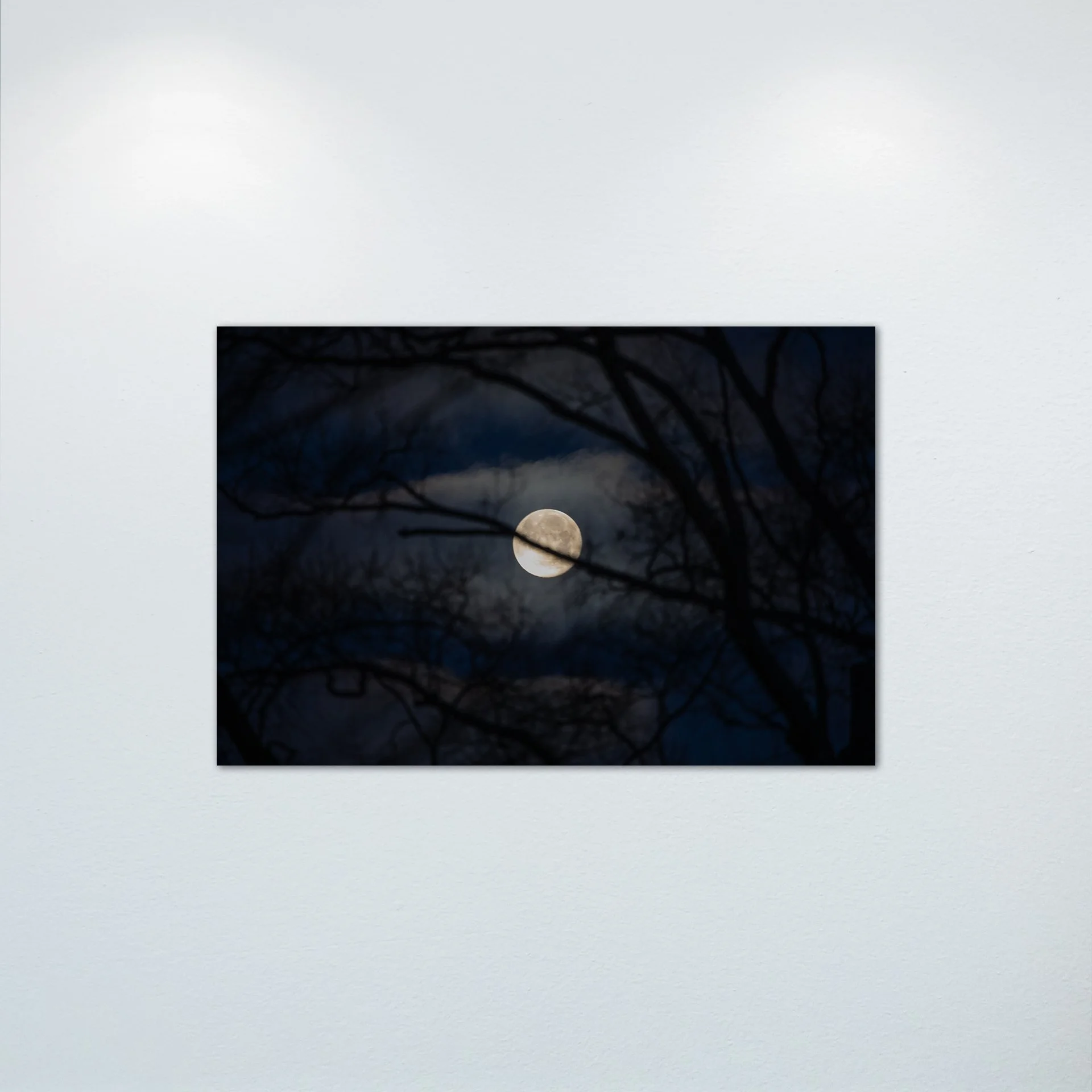 1/1 Moon thru Tree Branches