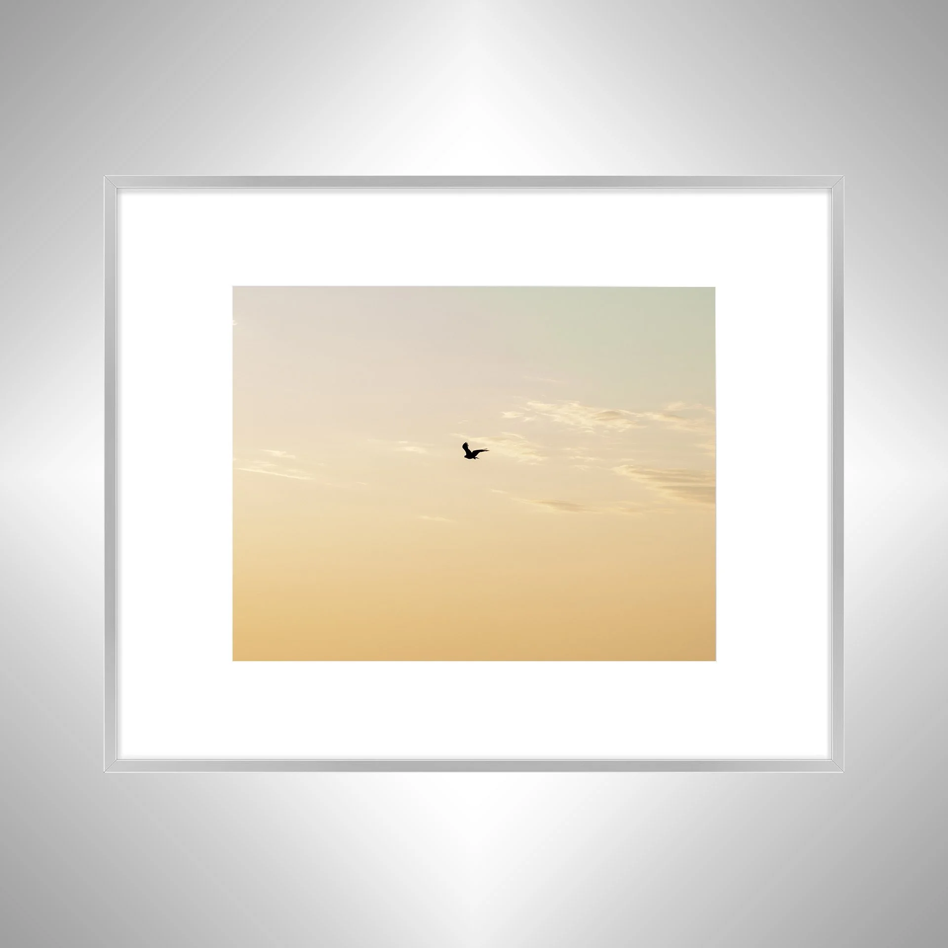 1:10 Golden Gull on Horizon- Silver w: Border.jpg
