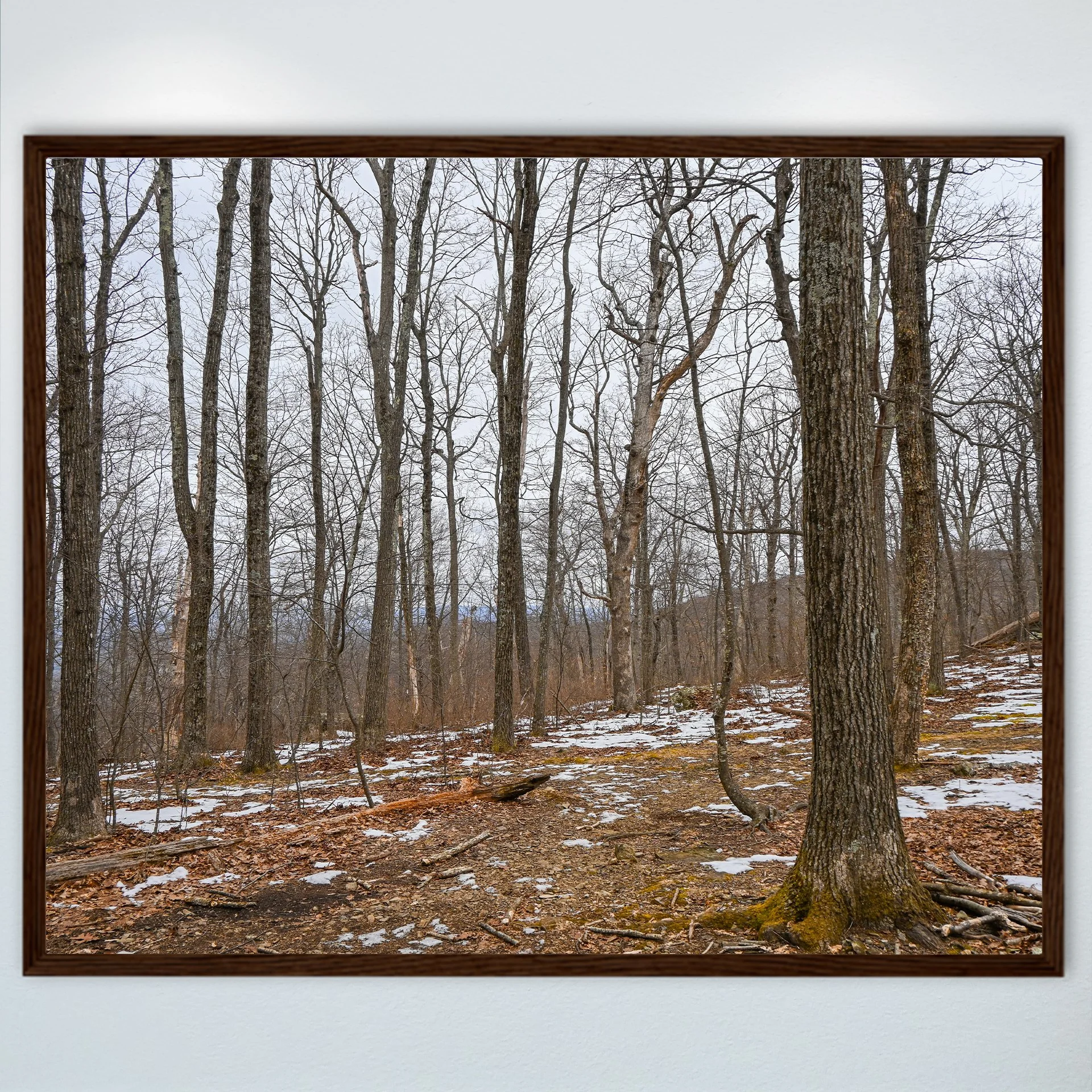 1:10 Nellysford Mountain Trees in Winter- Wood.jpg
