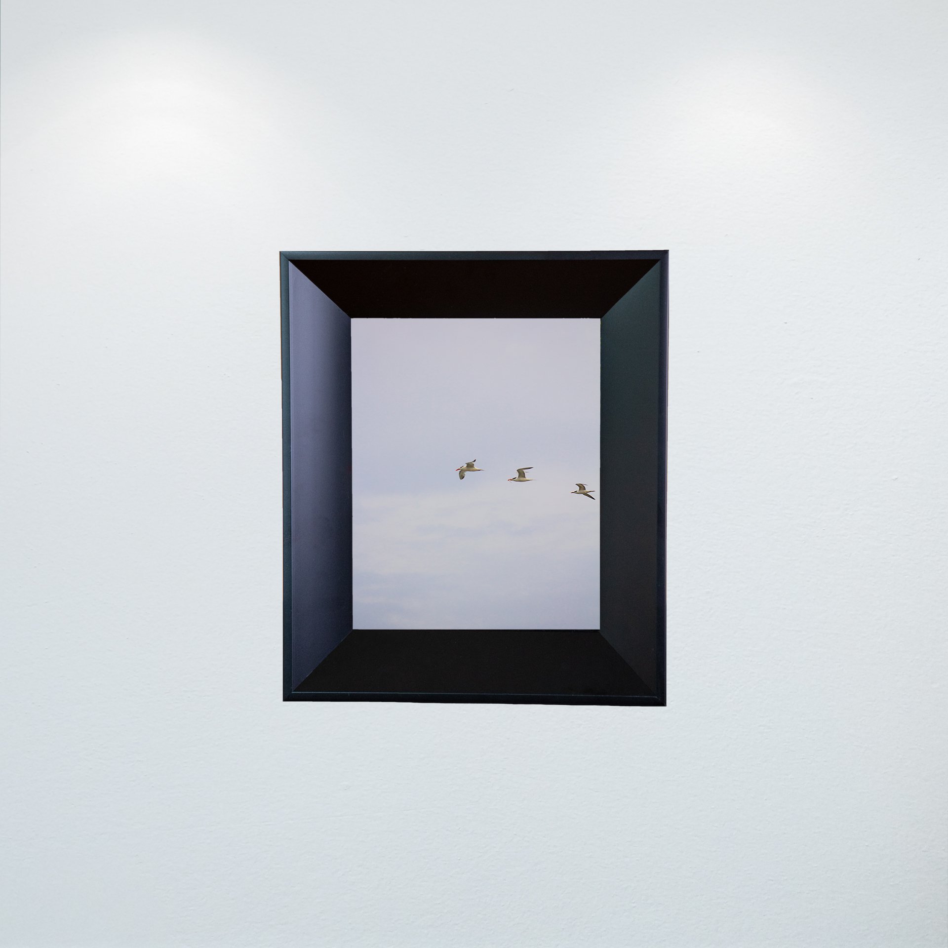 1:1 Trio of Common Tern with Fish- Mini.jpg