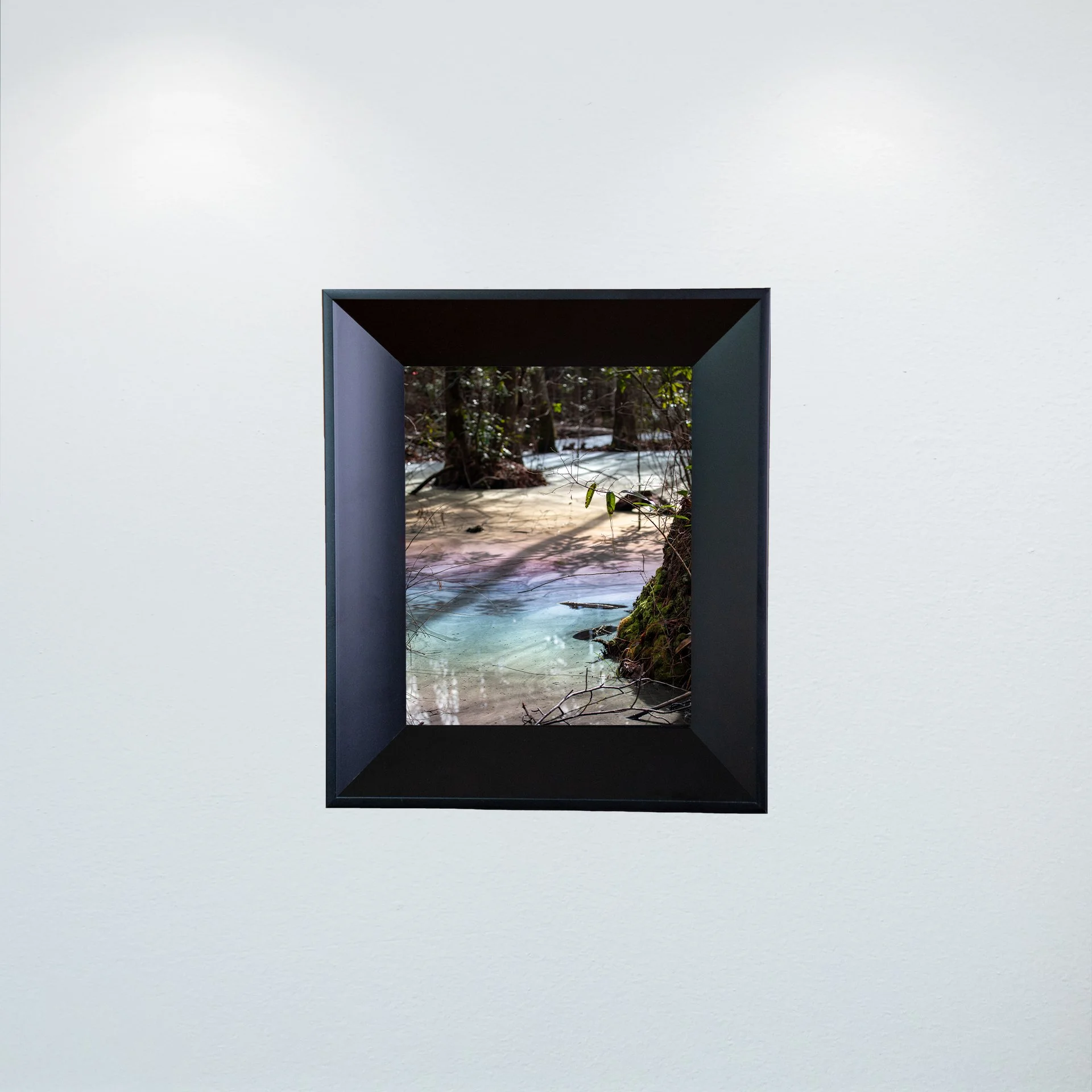 1:1 Rainbow Swamp at Seashore State Park- Mini.jpg