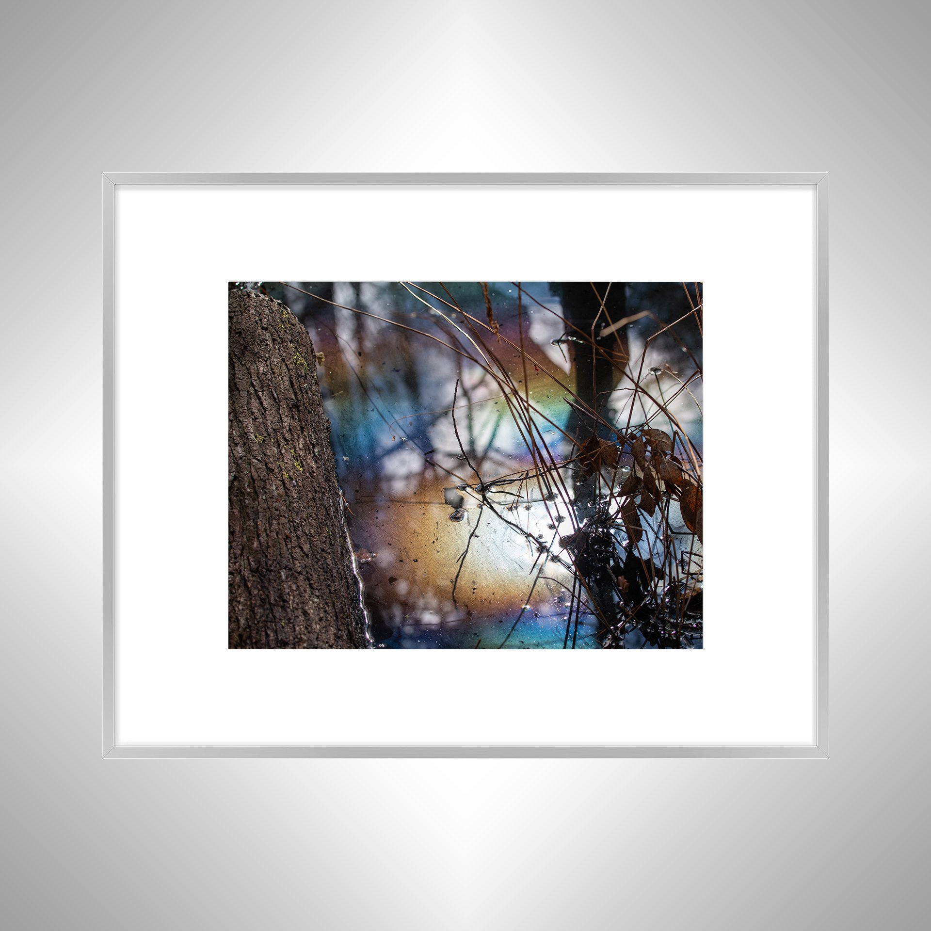 1:1 Rainbow Water at First Landing- Silver w: Border.jpg