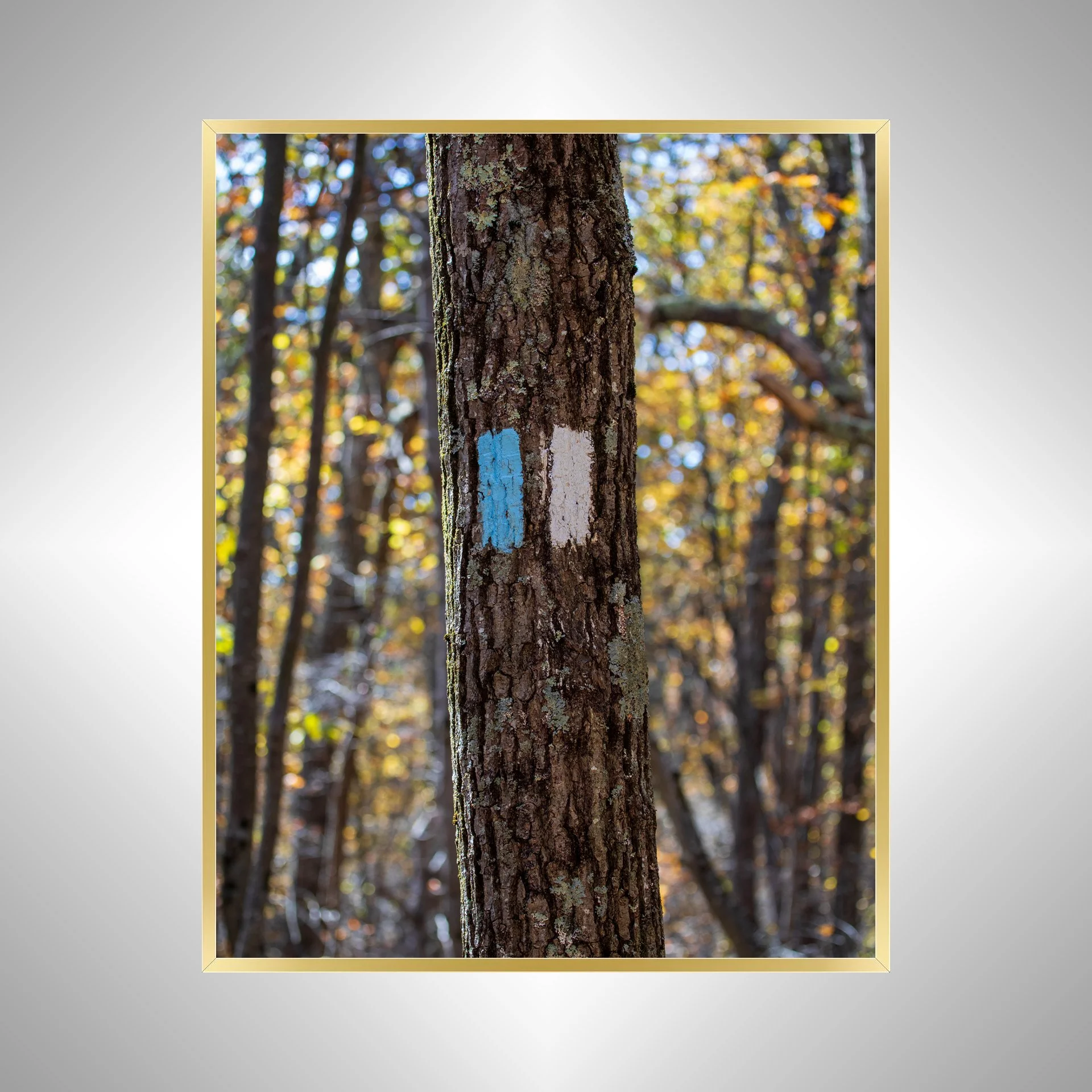 1:1 Appalachian Trail Blaze- Gold Metal.jpg