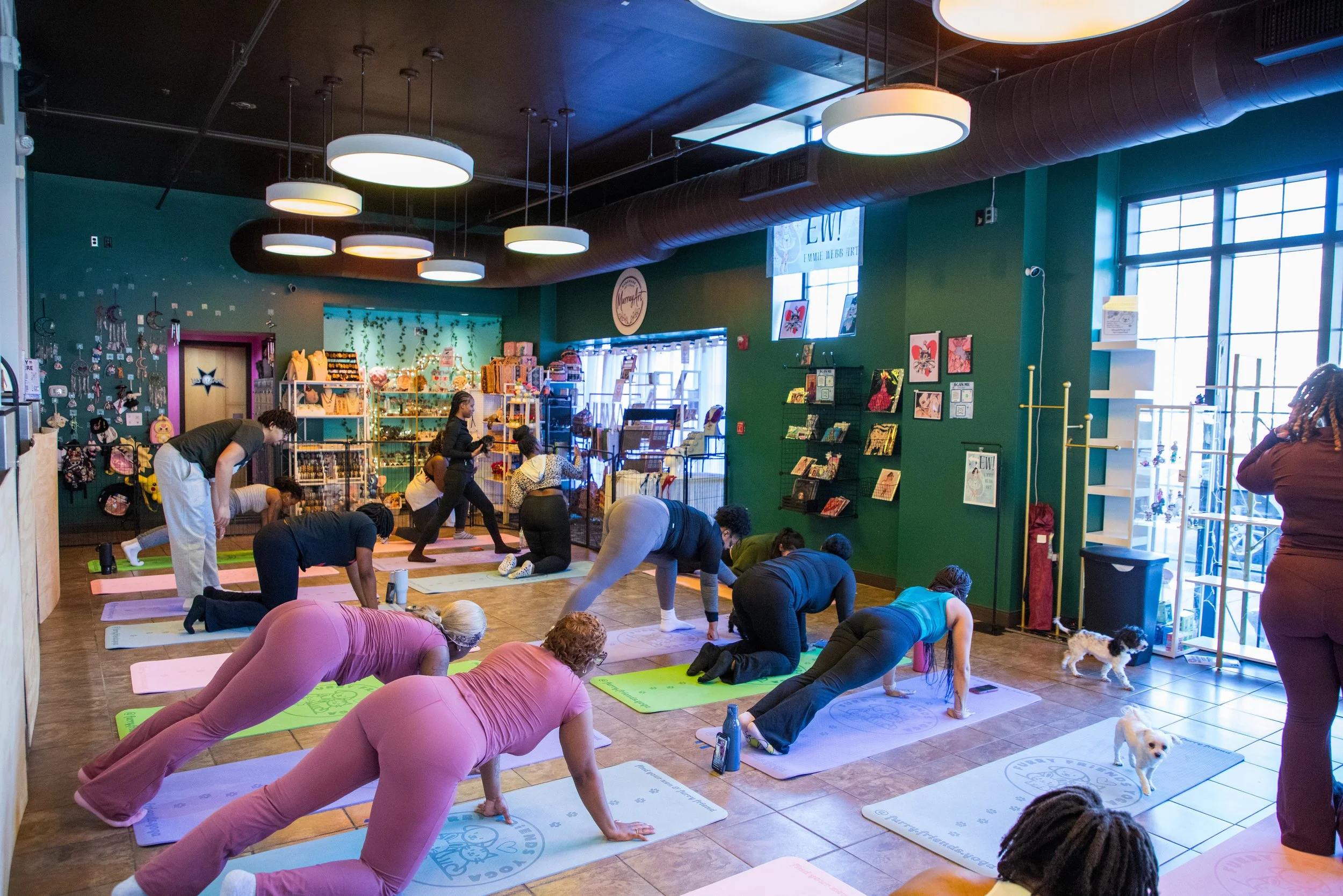 Marketing and Event Photography by Will Locke. People participating in a yoga class in a colorful indoor space with large windows, displayed merchandise, and small dogs nearby.