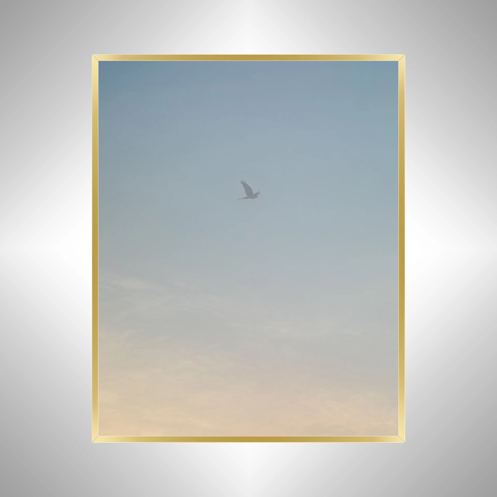 1:1 Seagull thru Fog- Gold.jpg