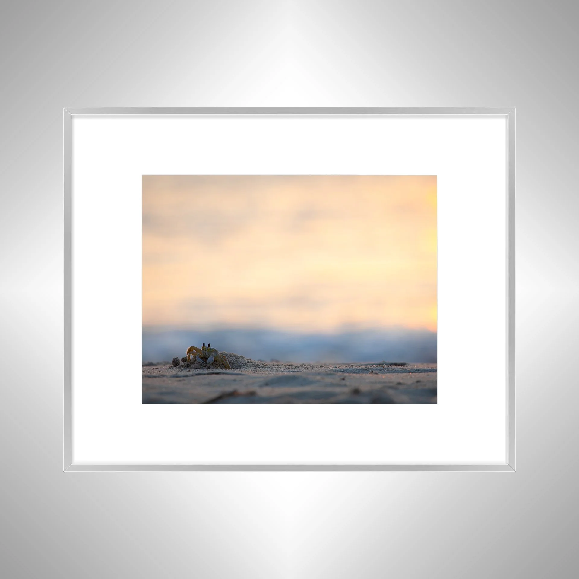 1:1 Ghost Crab Profile- Silver Metal w: Border.jpg