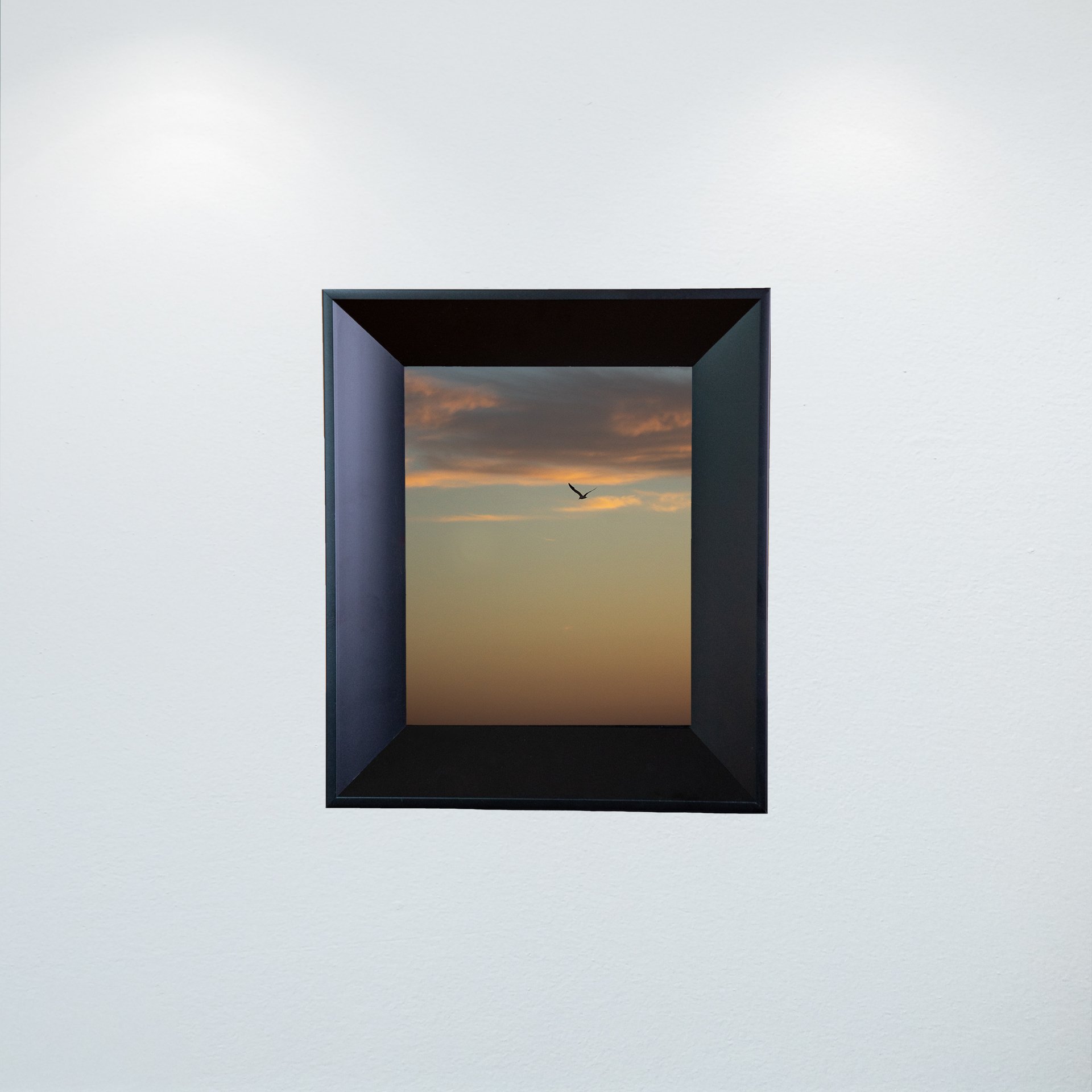 1:1 Seagull Soaring Gradient- Mini.jpg