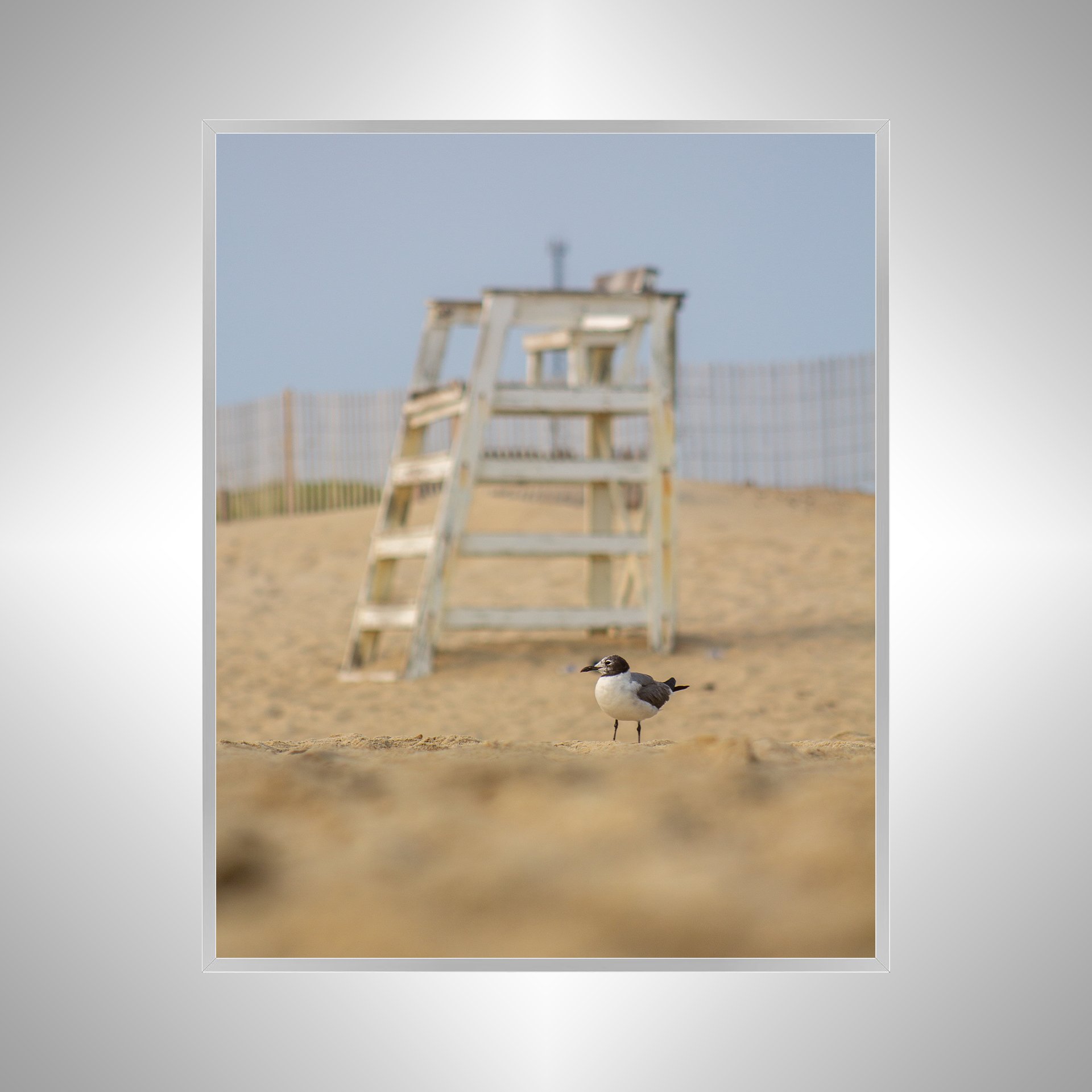1:1 Lifeguard Gull- Silver Metal.jpg