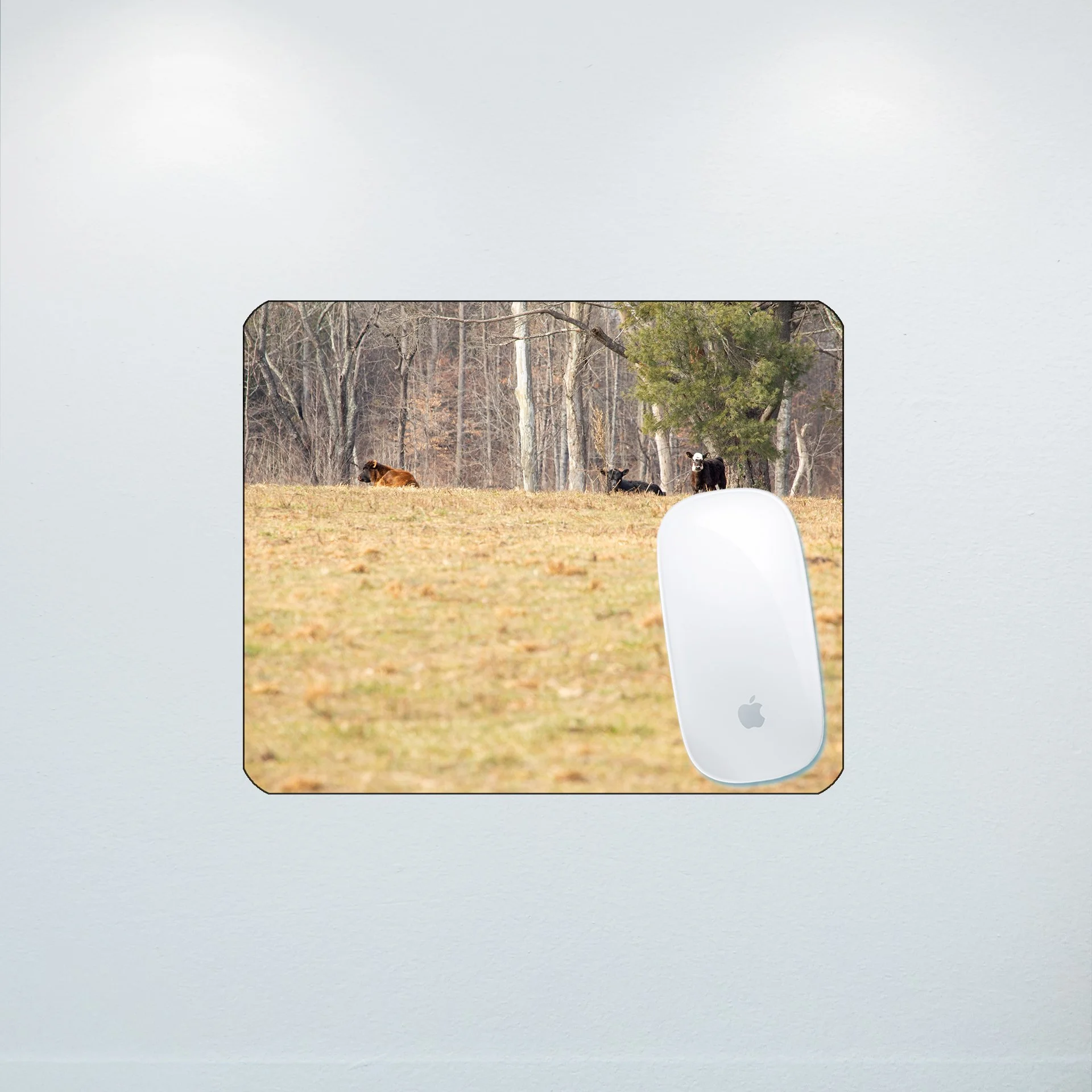 1:10 Cows on Shenandoah Hill- Mouse Pad.jpg