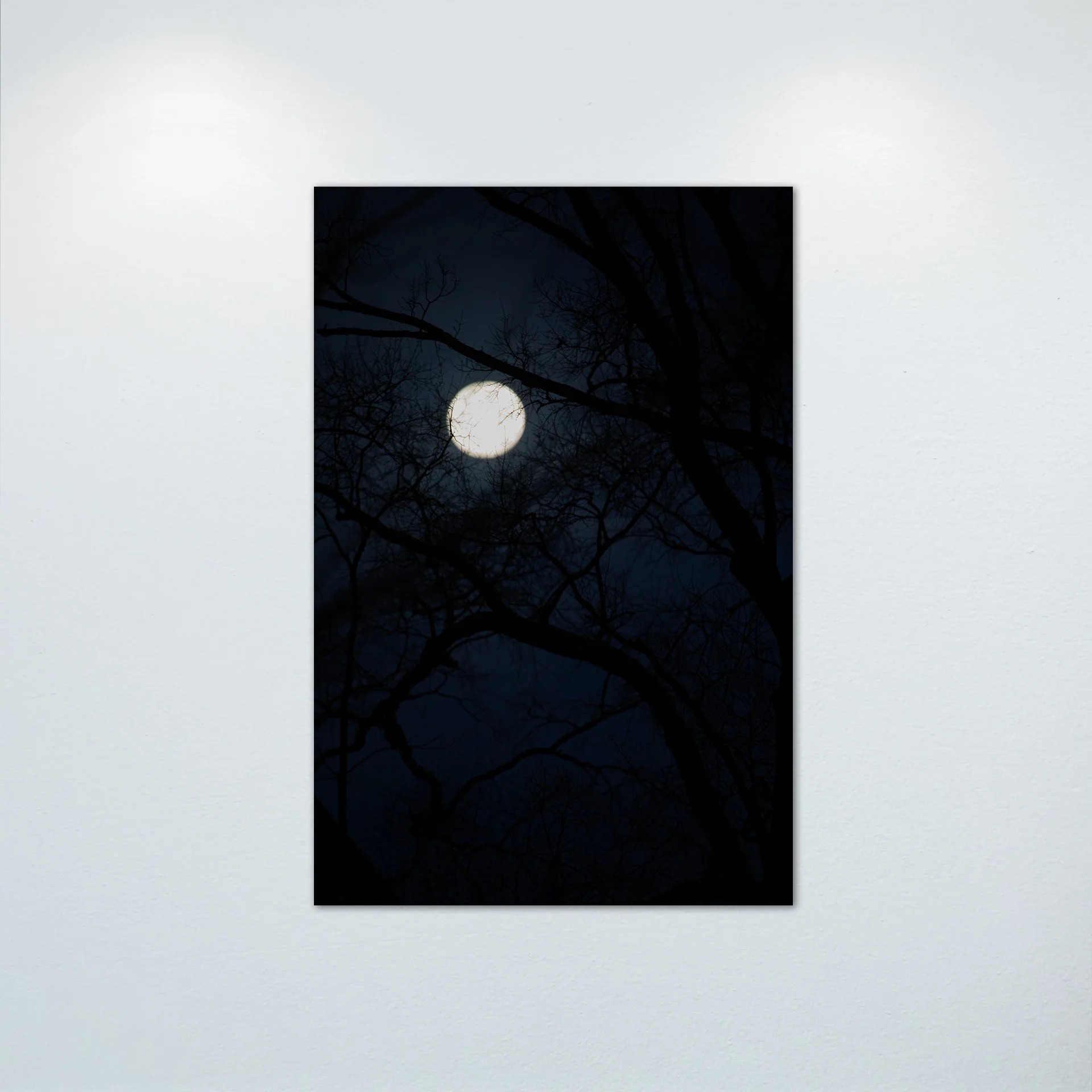 1/1 Spooky Moon in Norfolk