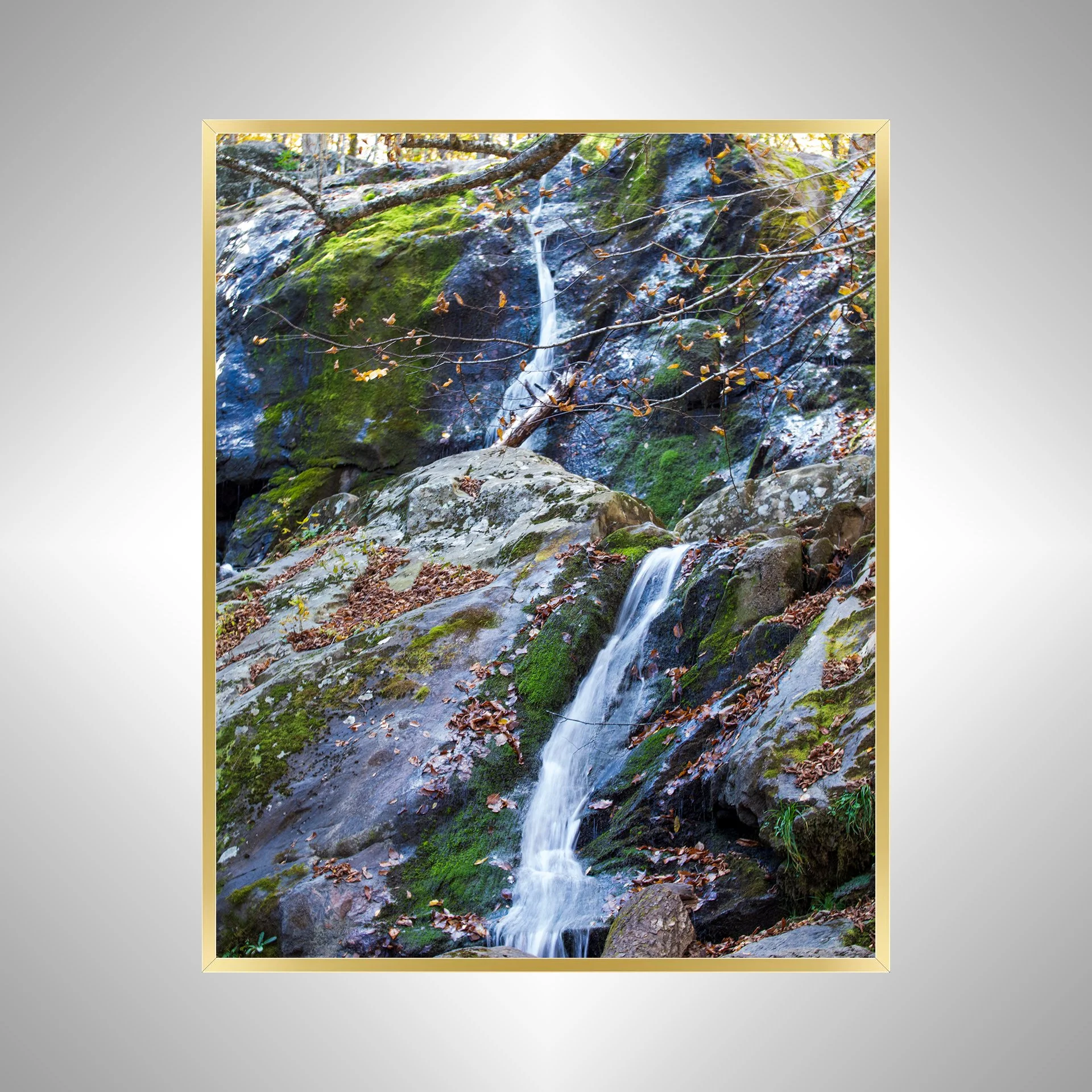 1:1 Shenandoah National Park, Dark Hollow Falls Waterfall- Gold.jpg