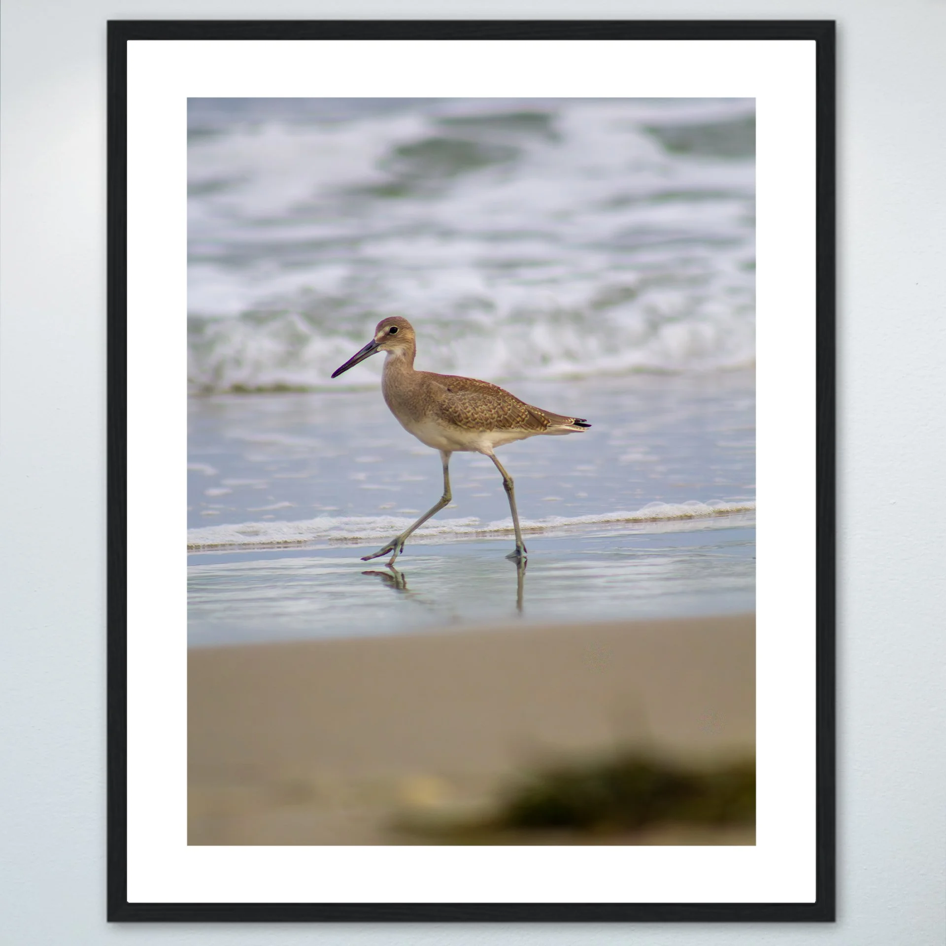 1:1 Willet Walking- Wood w: Border.jpg
