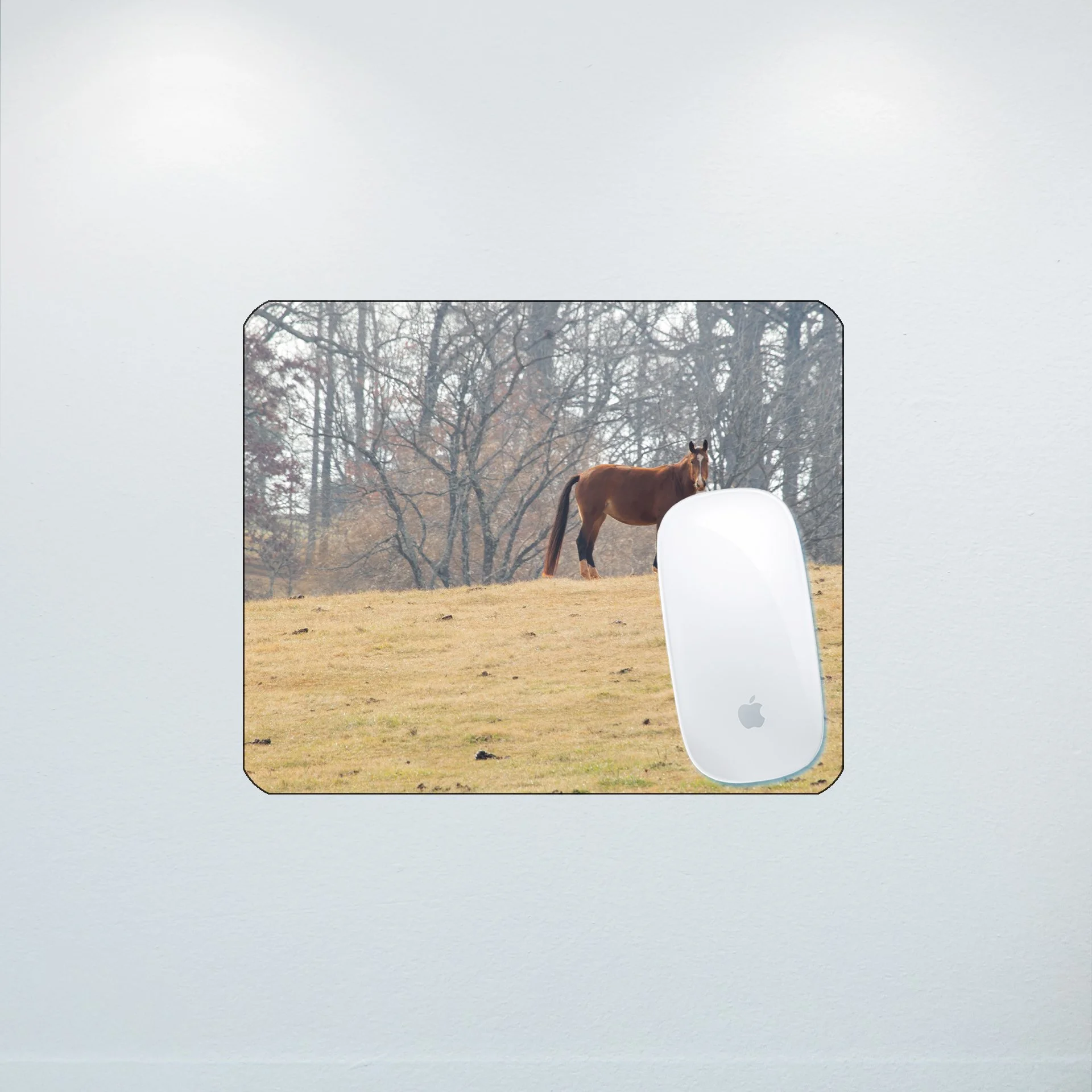 1:10 Shenandoah Horse- Mouse Pad.jpg