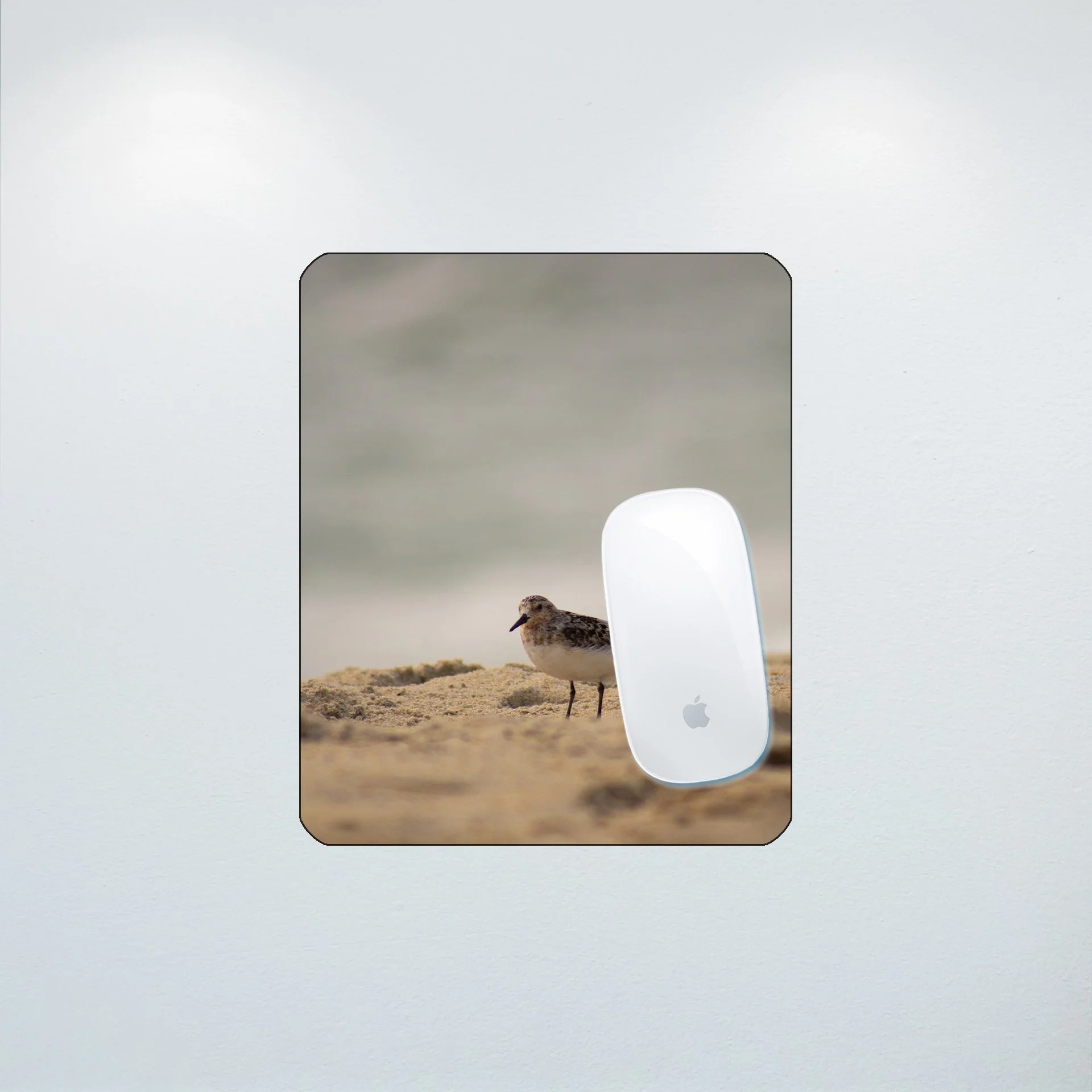 1:10 Sanderling Photoshoot in Rodanthe- Mouse Pad.jpg