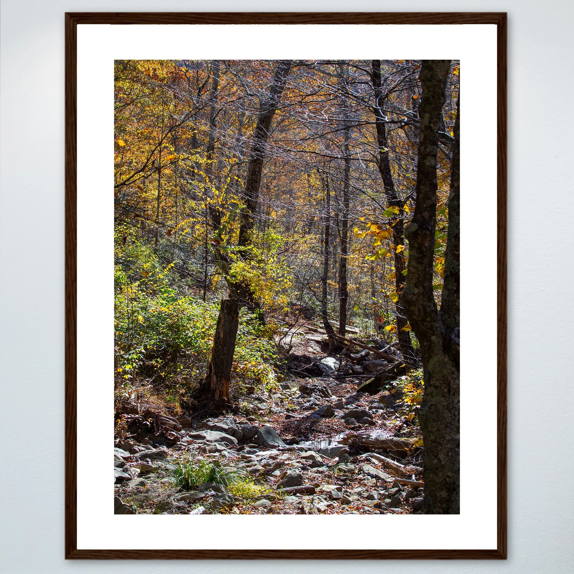 1:1 Shenandoah National Park Rocky Trail- Wood w: Border.jpg